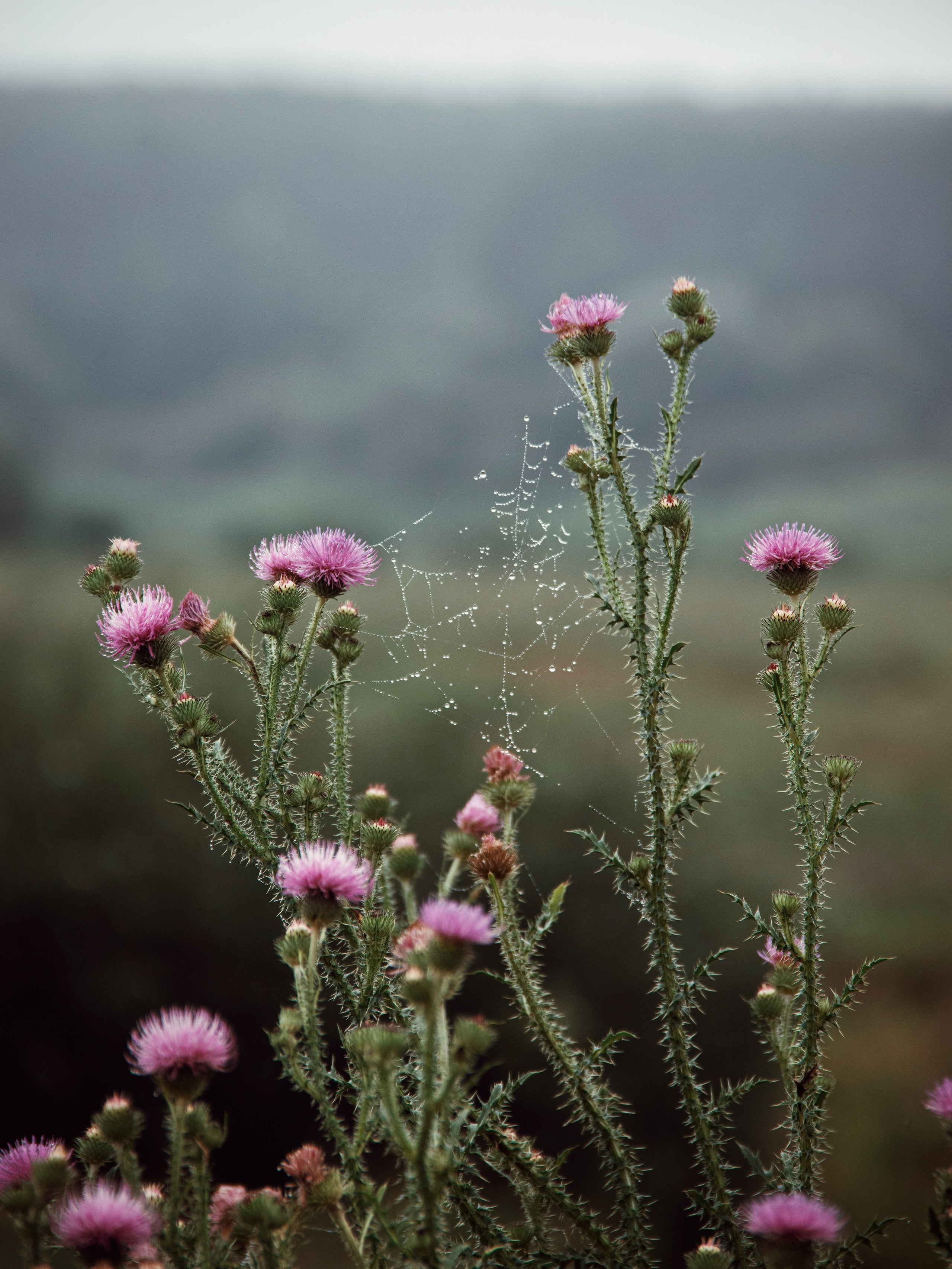 Застывшая утренняя тишина. С любовью, фотохудожник