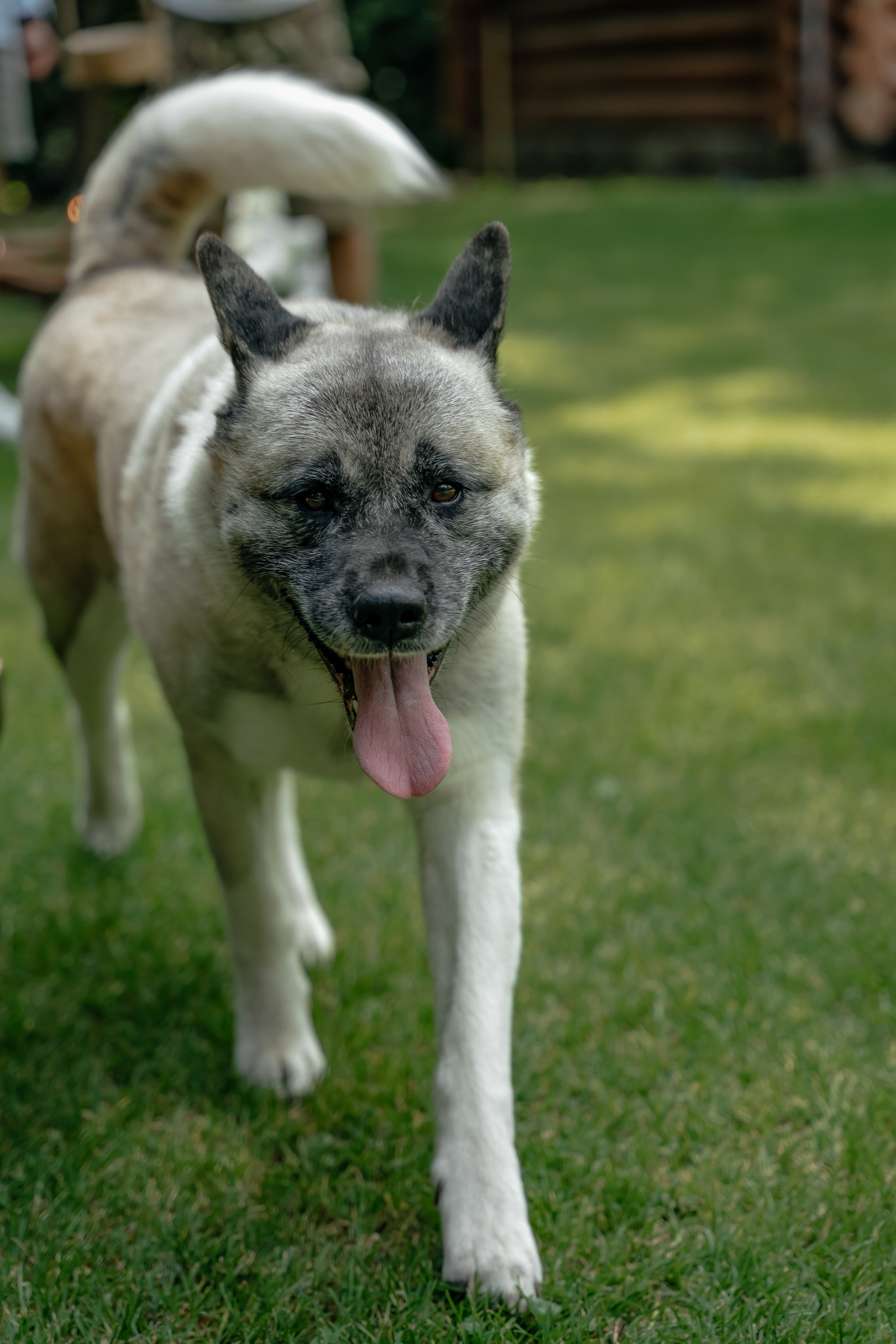 Мы нечасто говорим о чувствах. Свадебный Фотограф Минск || Фото и Видеосъёмка Минск || Другие города