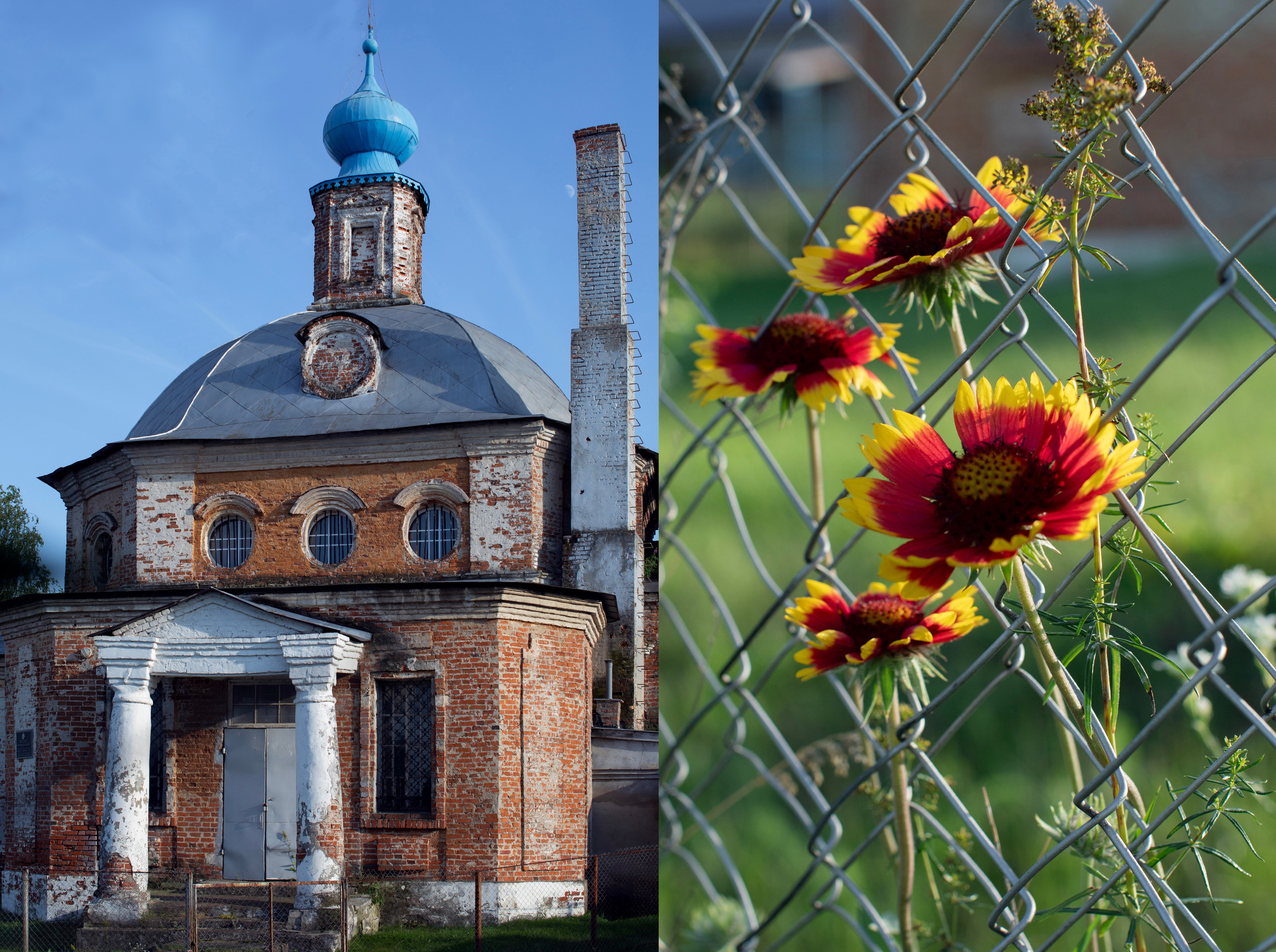 Рязань'25. Фотограф-портретист в Москве
