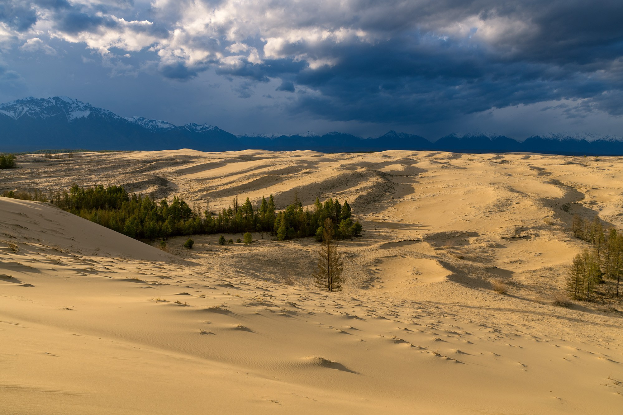 Чарские пески. Май 2026