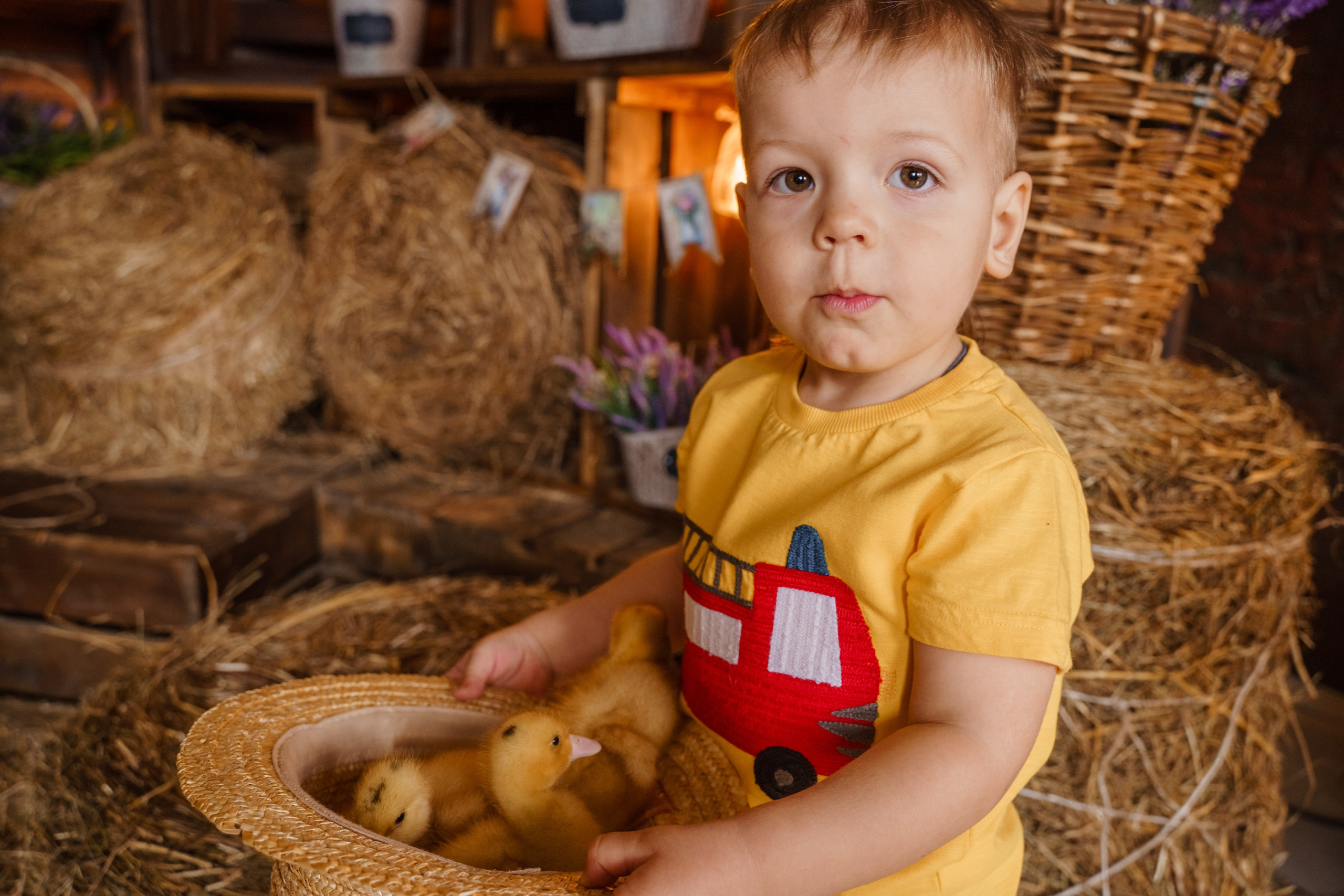 Фотосессия с утятами в студии