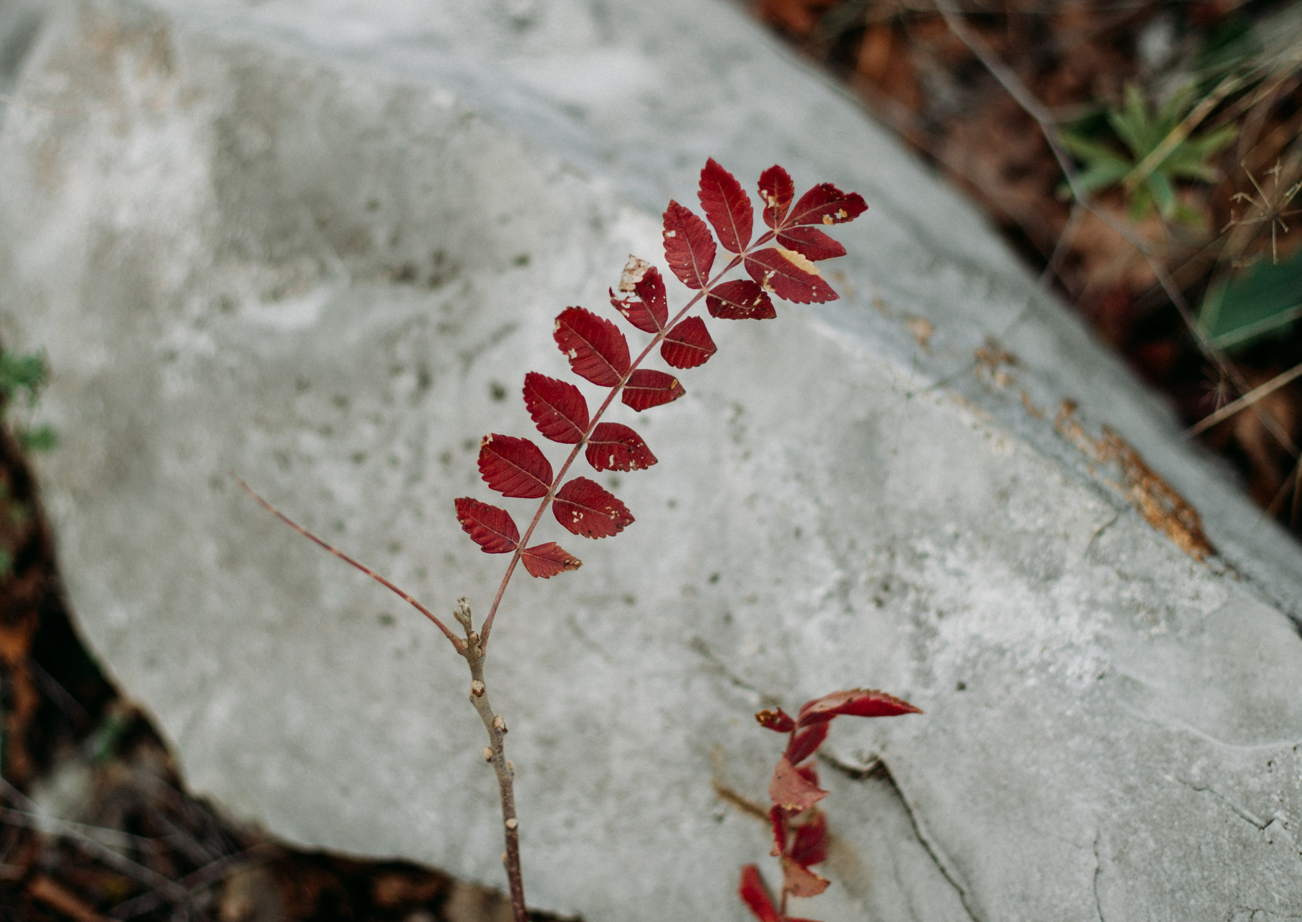 Дороги земли ветров. Портретный фотограф в Москве и Геленджике Кирилл Вахитов