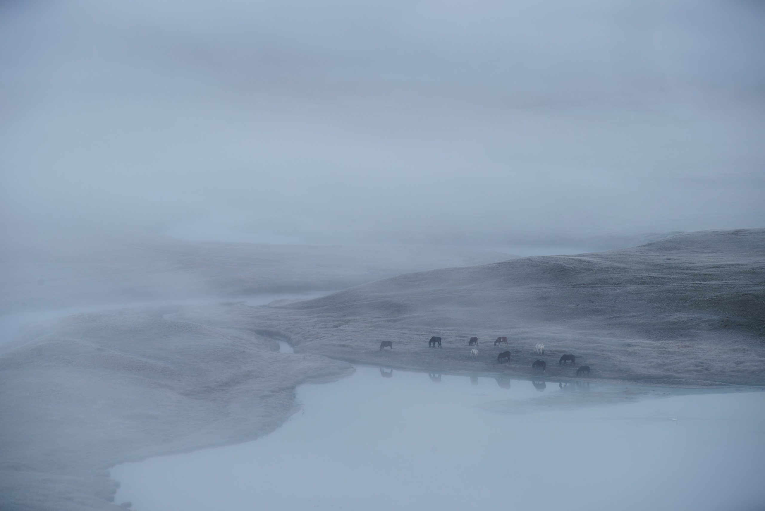 Путешествие по южному Алтаю. Семоха Валерий. Фотограф