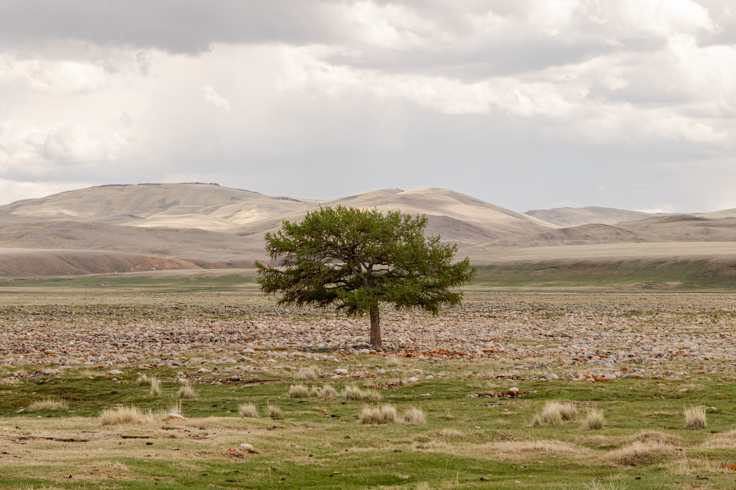 Горный Алтай. Фотограф Кирилл Мешков Кемерово