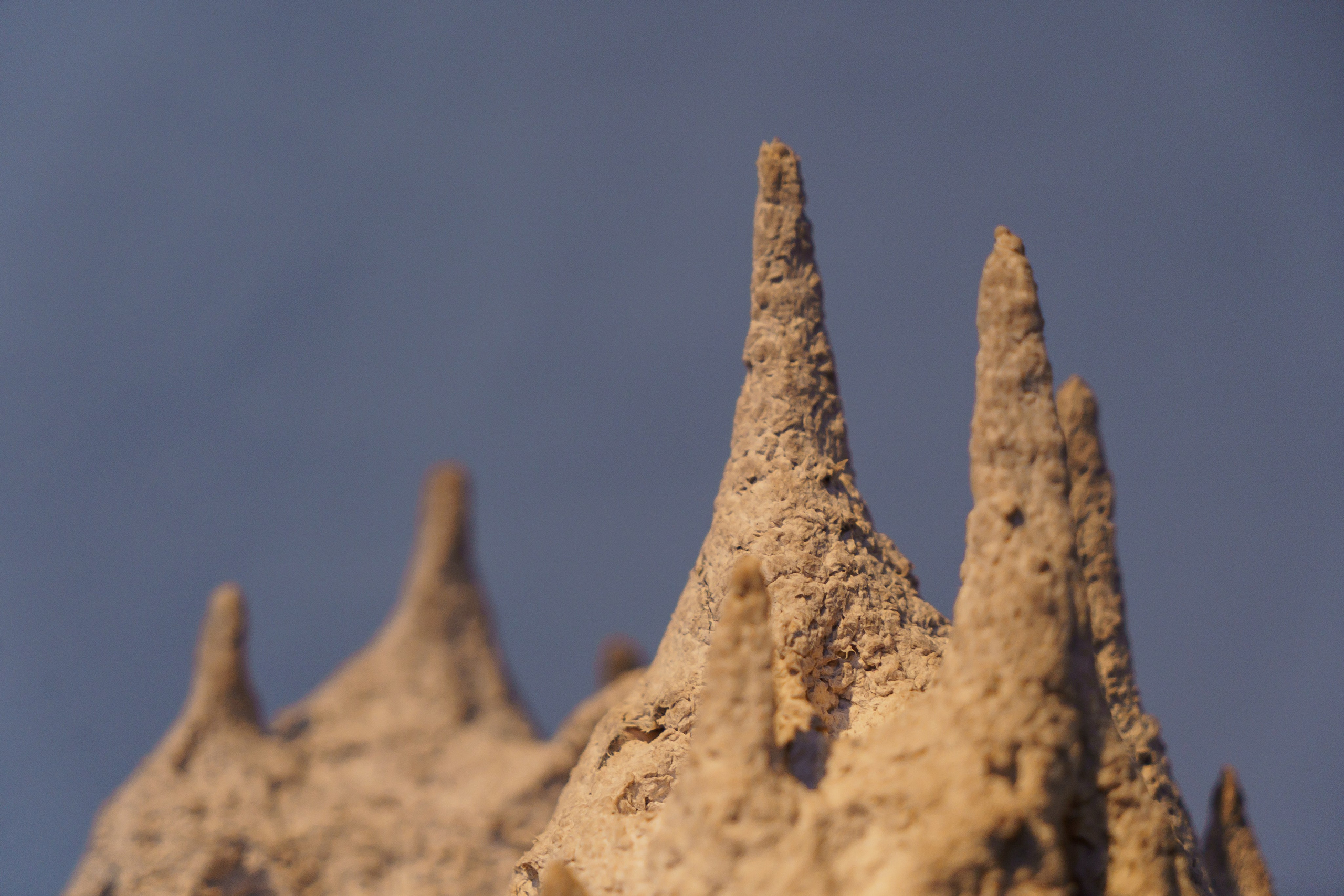 Polina Krutova, multimedia artist, curator