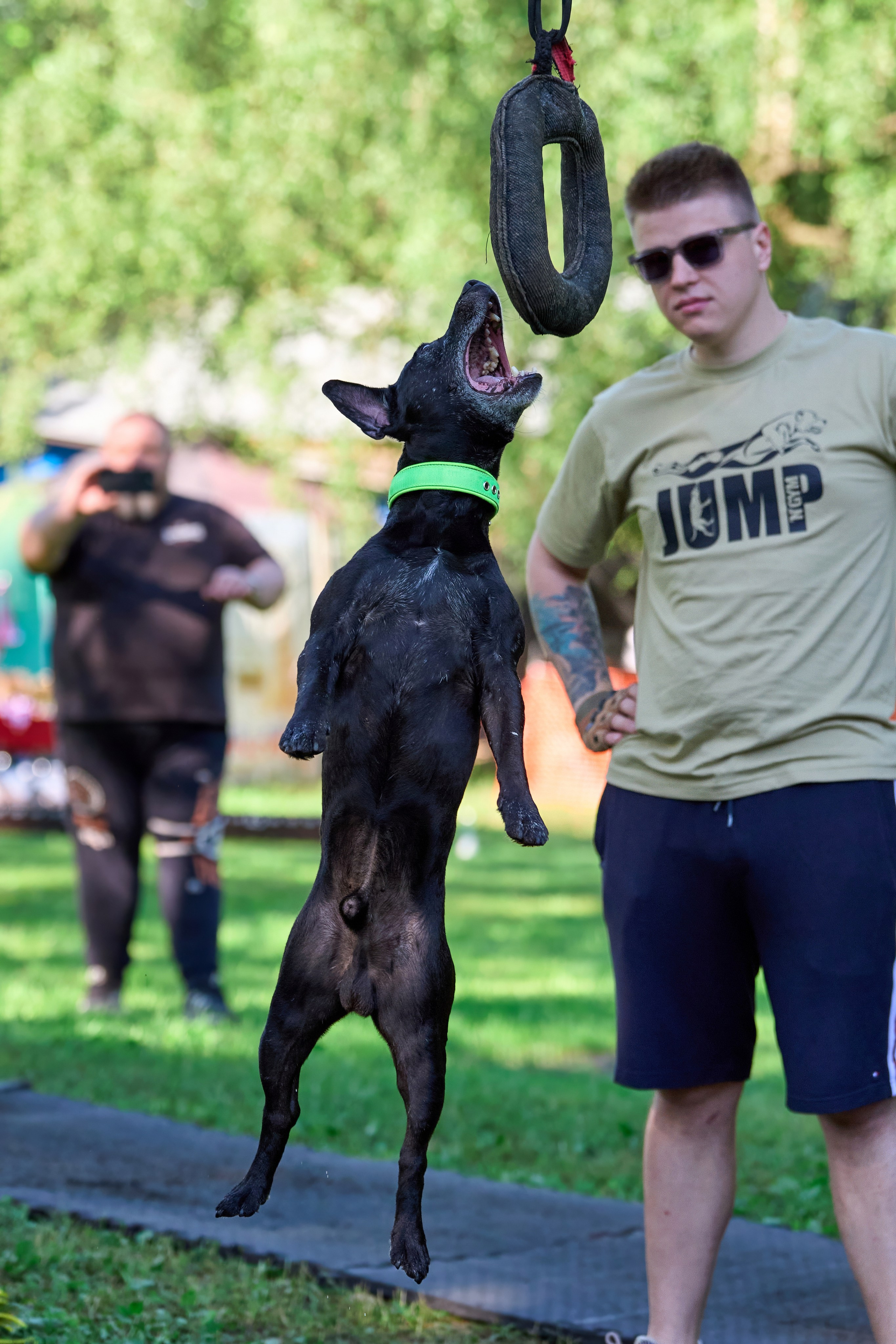 Двухдневные соревнования «Jump'n'Gym Fest — 2024». Фотограф-анималист Михаил Манухин