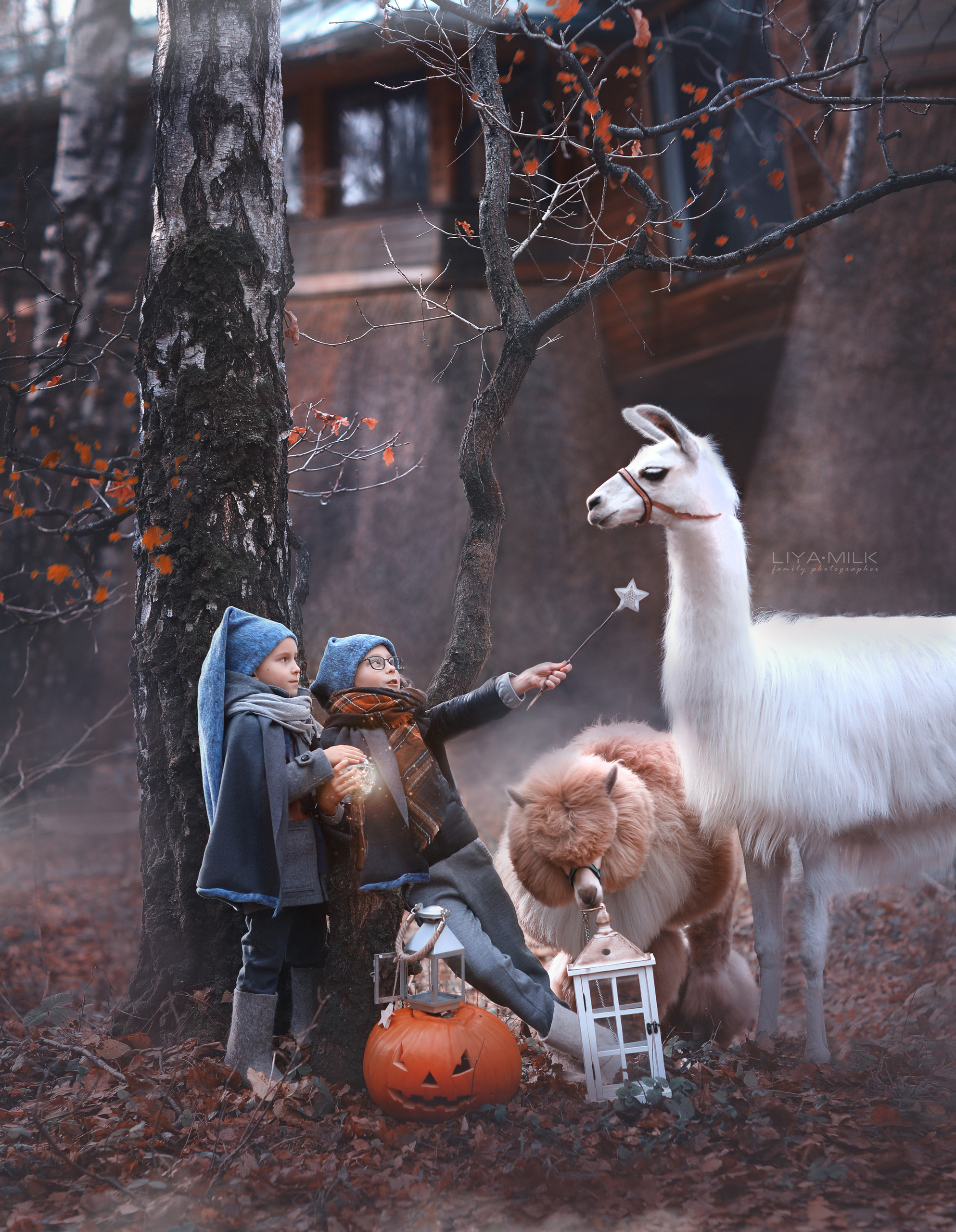 Сказочные фотосессии, фотосессии с животными. Фотограф Лия Милк | Москва, Подмосковье