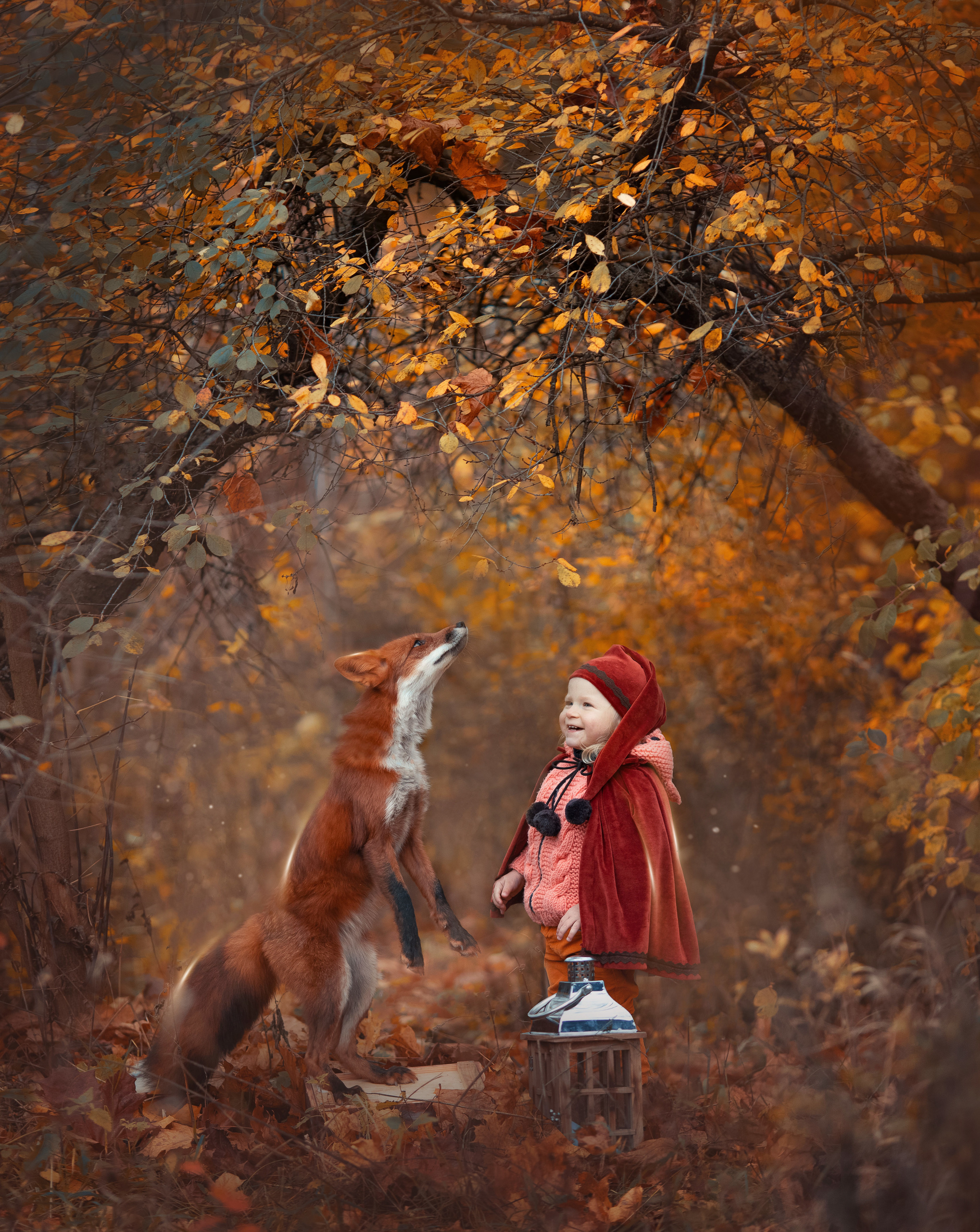 Сказочные фотосессии, фотосессии с животными. Фотограф Лия Милк | Москва, Подмосковье