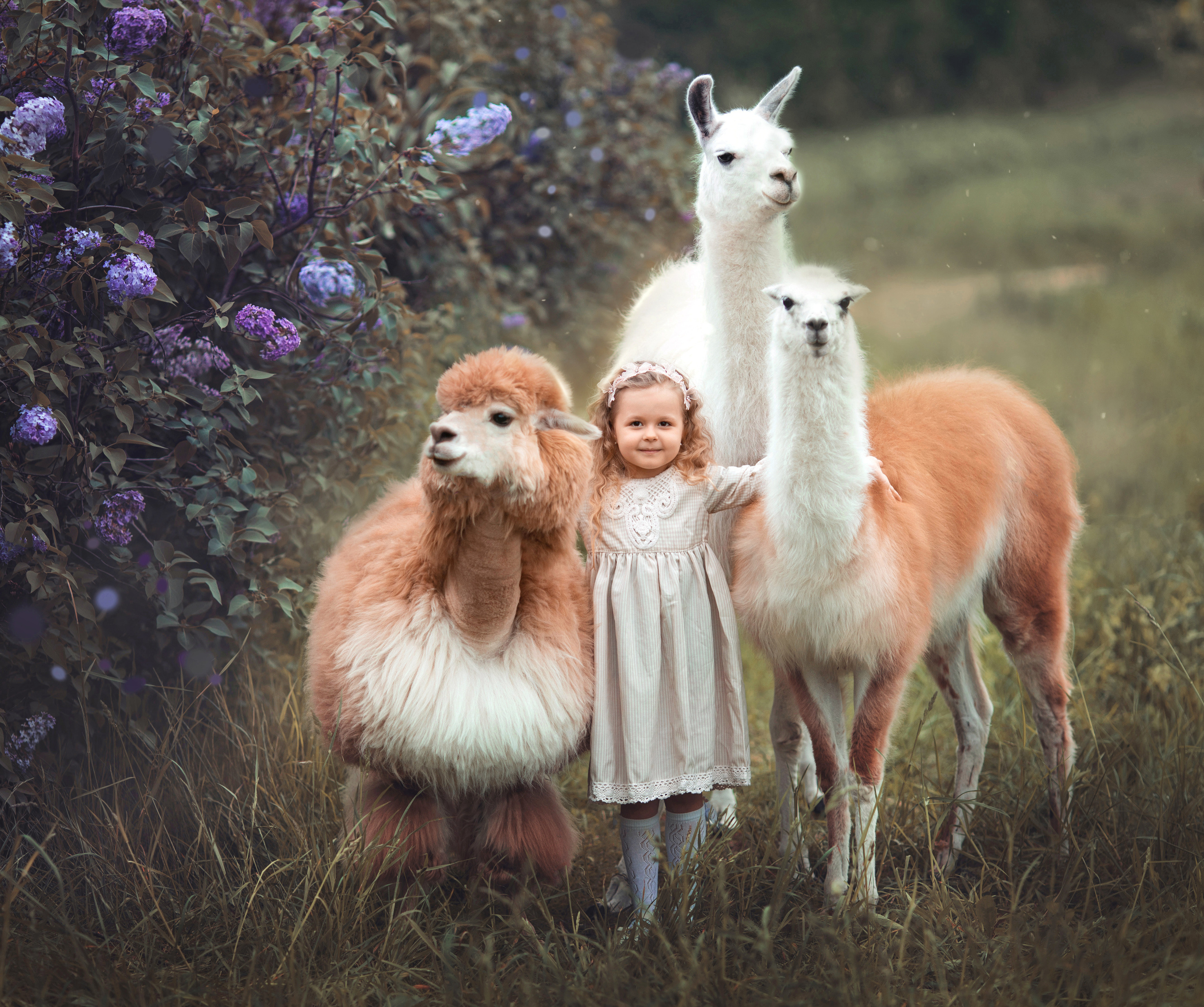 Сказочные фотосессии, фотосессии с животными. Фотограф Лия Милк | Москва, Подмосковье