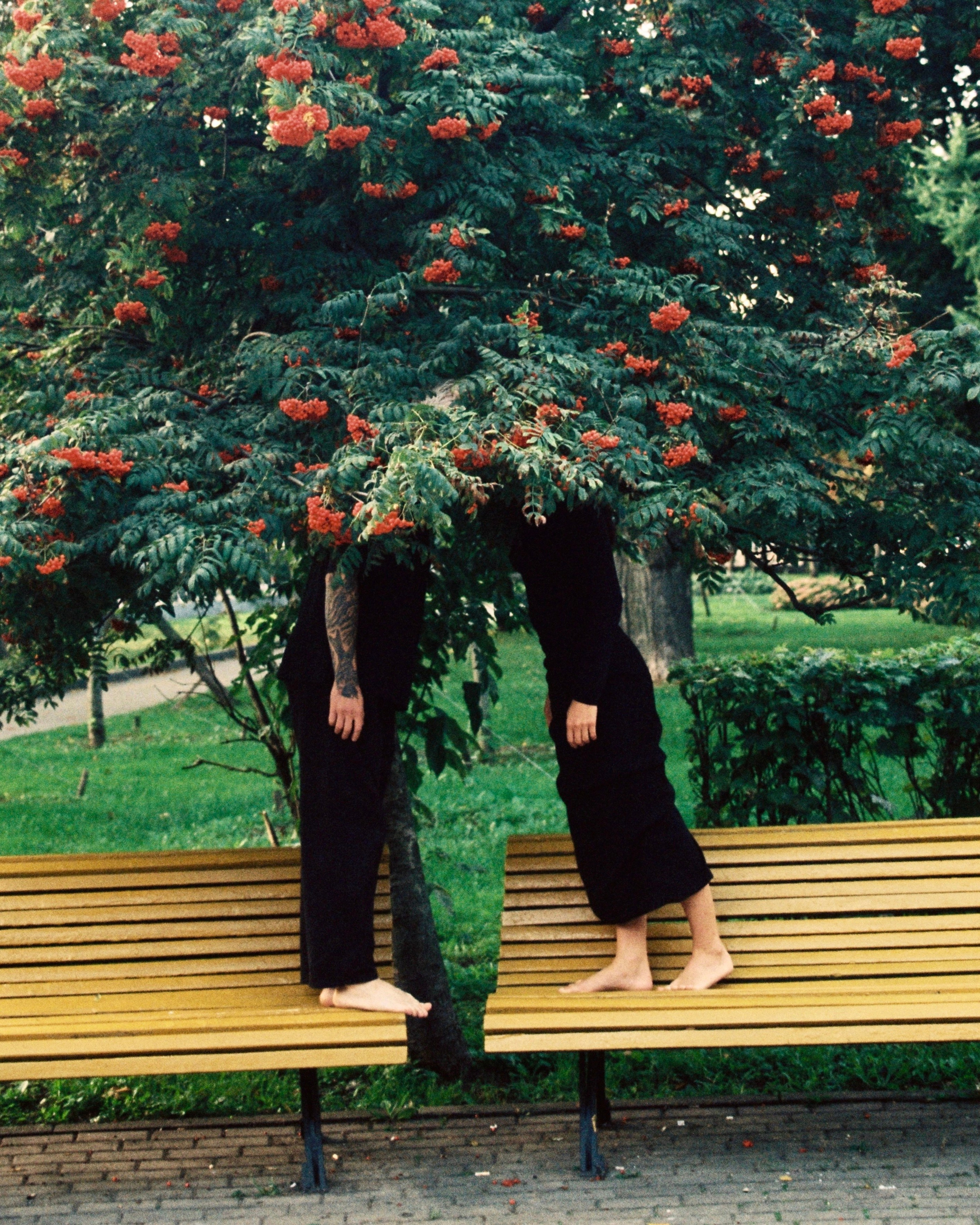 Док портрет