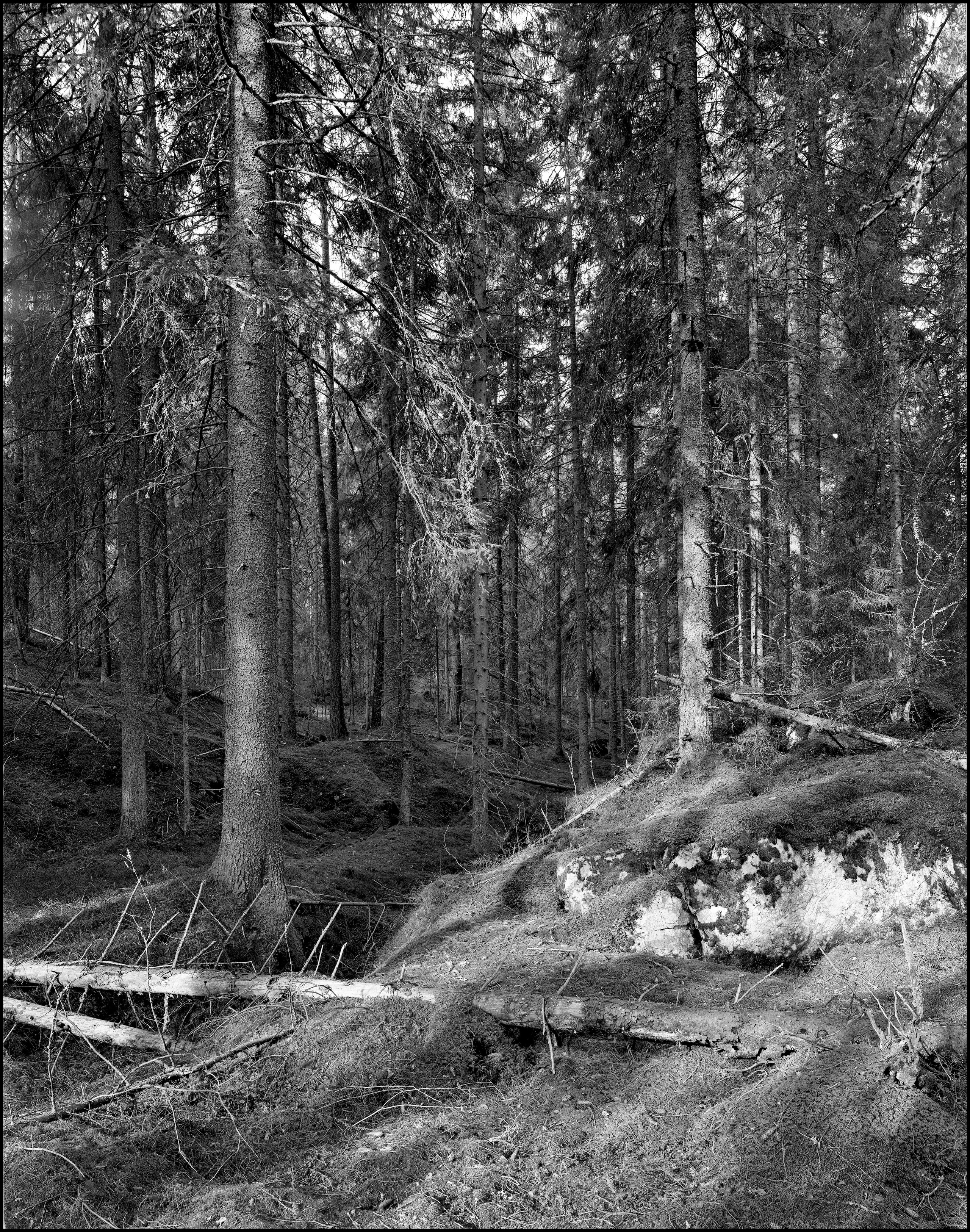 Карелия. Sergey Kondriuk art-photographer | artist