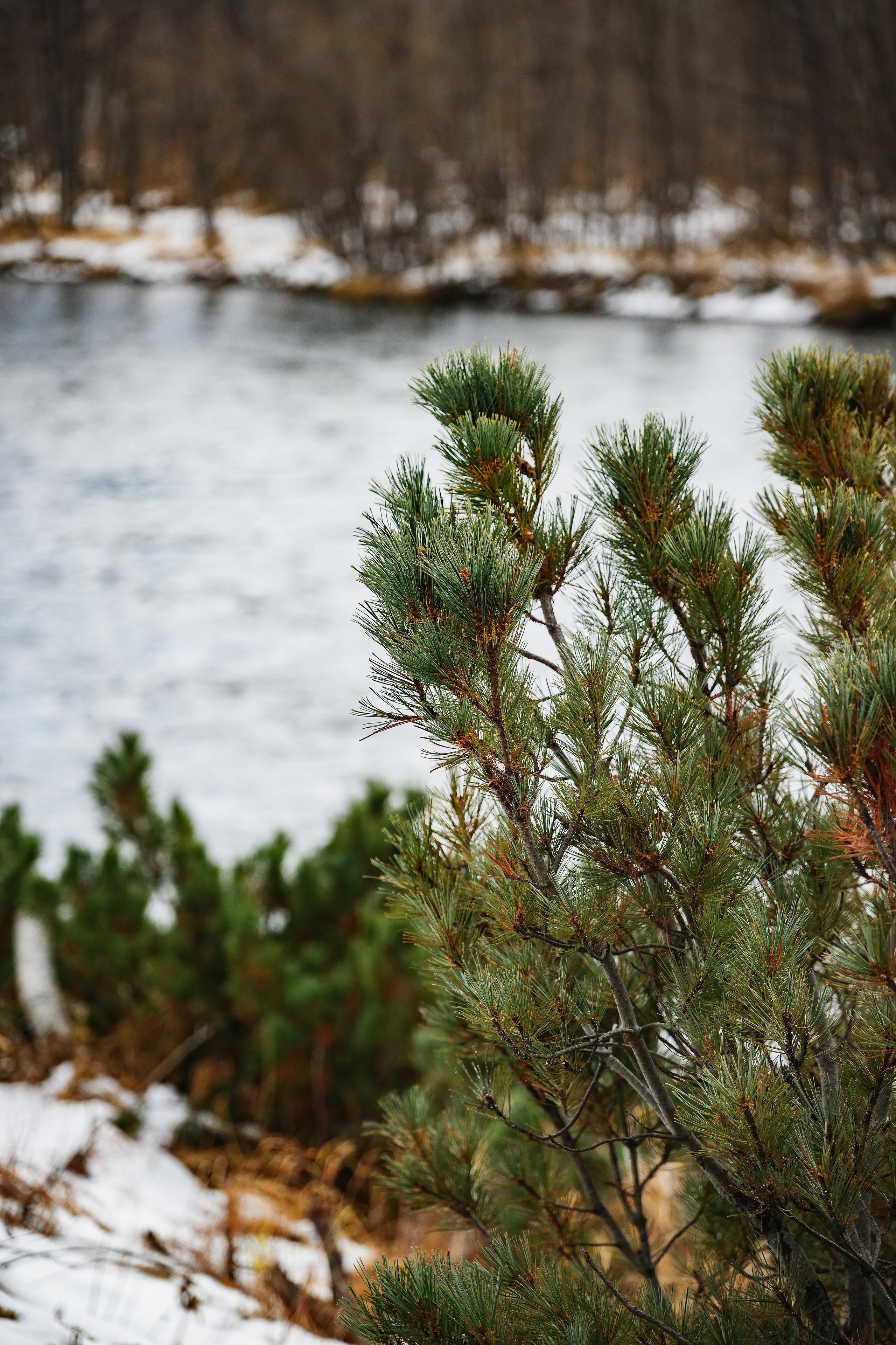 Профессиональная съемка базы отдыха. Фотограф Камчатка Тимофей Тимофеенко