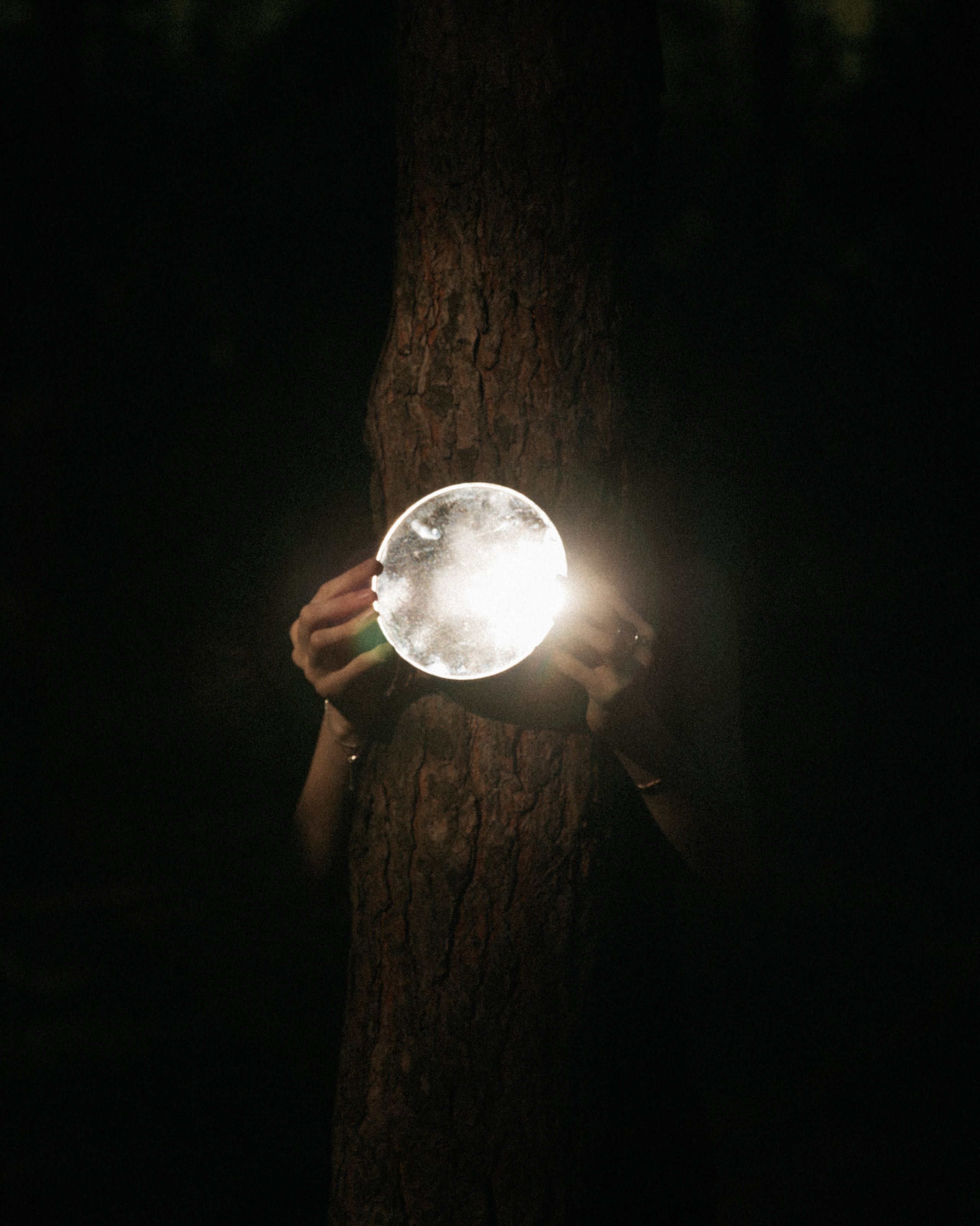 Антон Лашманов — фотограф