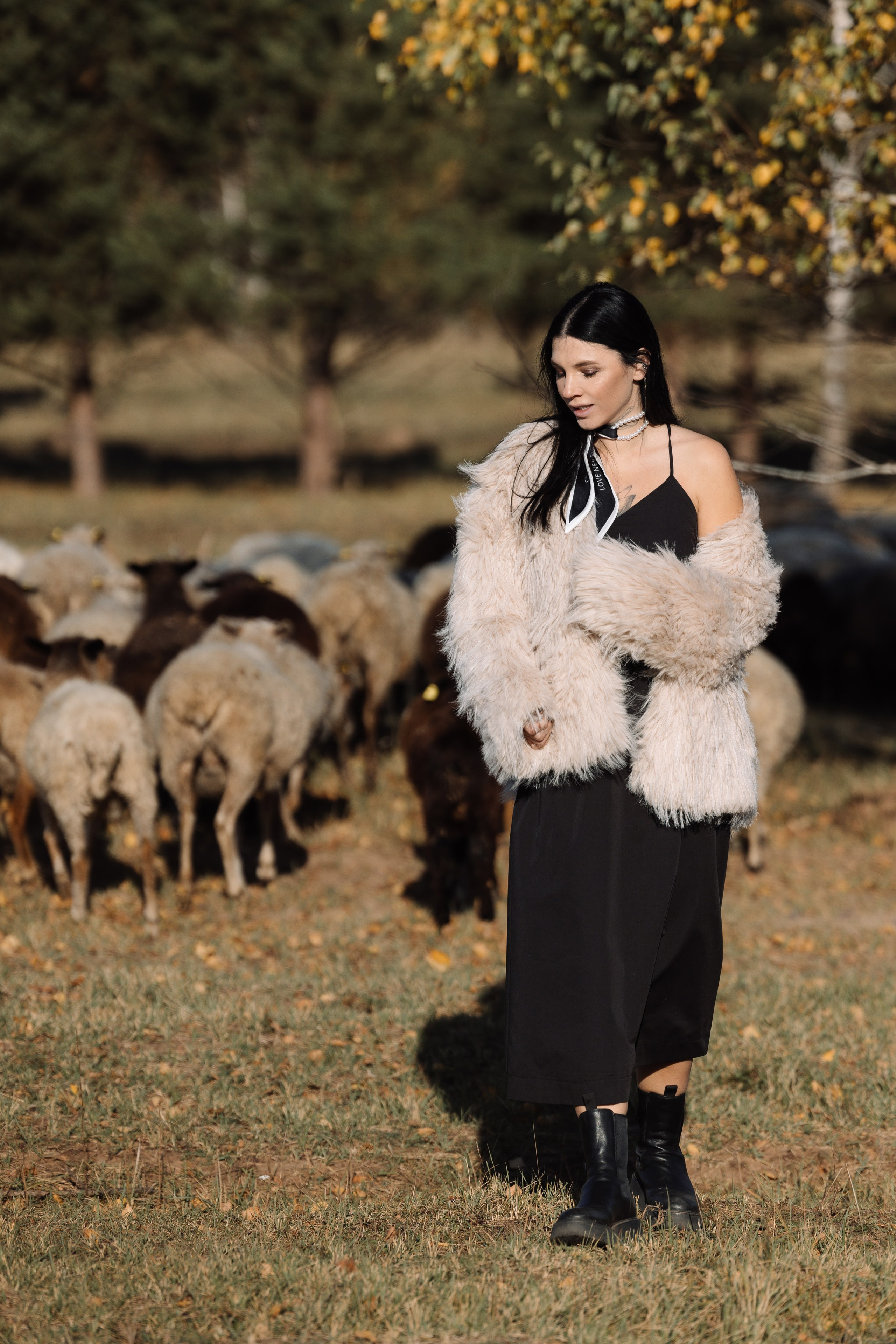 Охота на овец