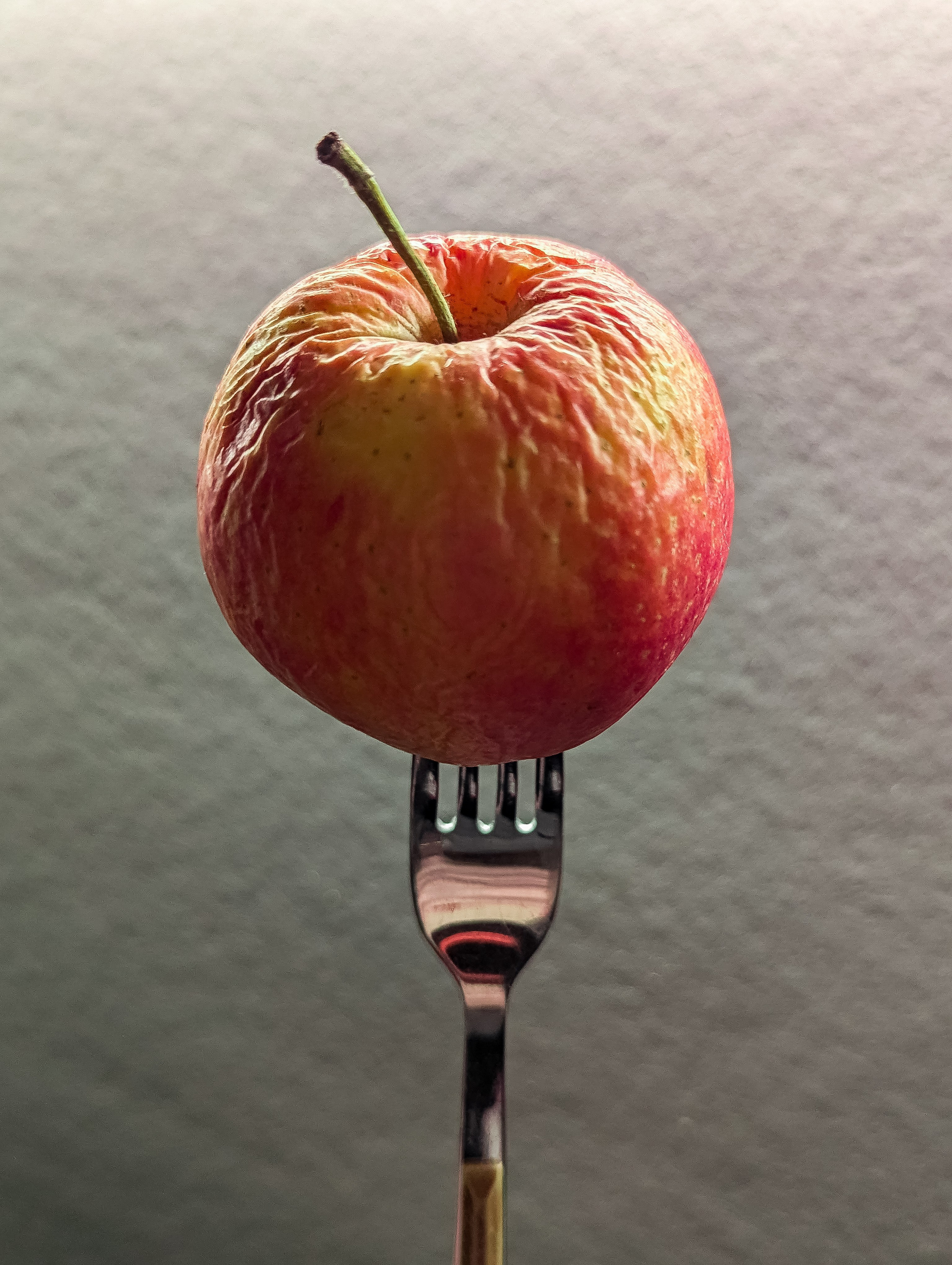 Мир вокруг: мобильная фотография — быстрая композиция. Любовь Каширская — фотограф для малого бизнеса и специалистов