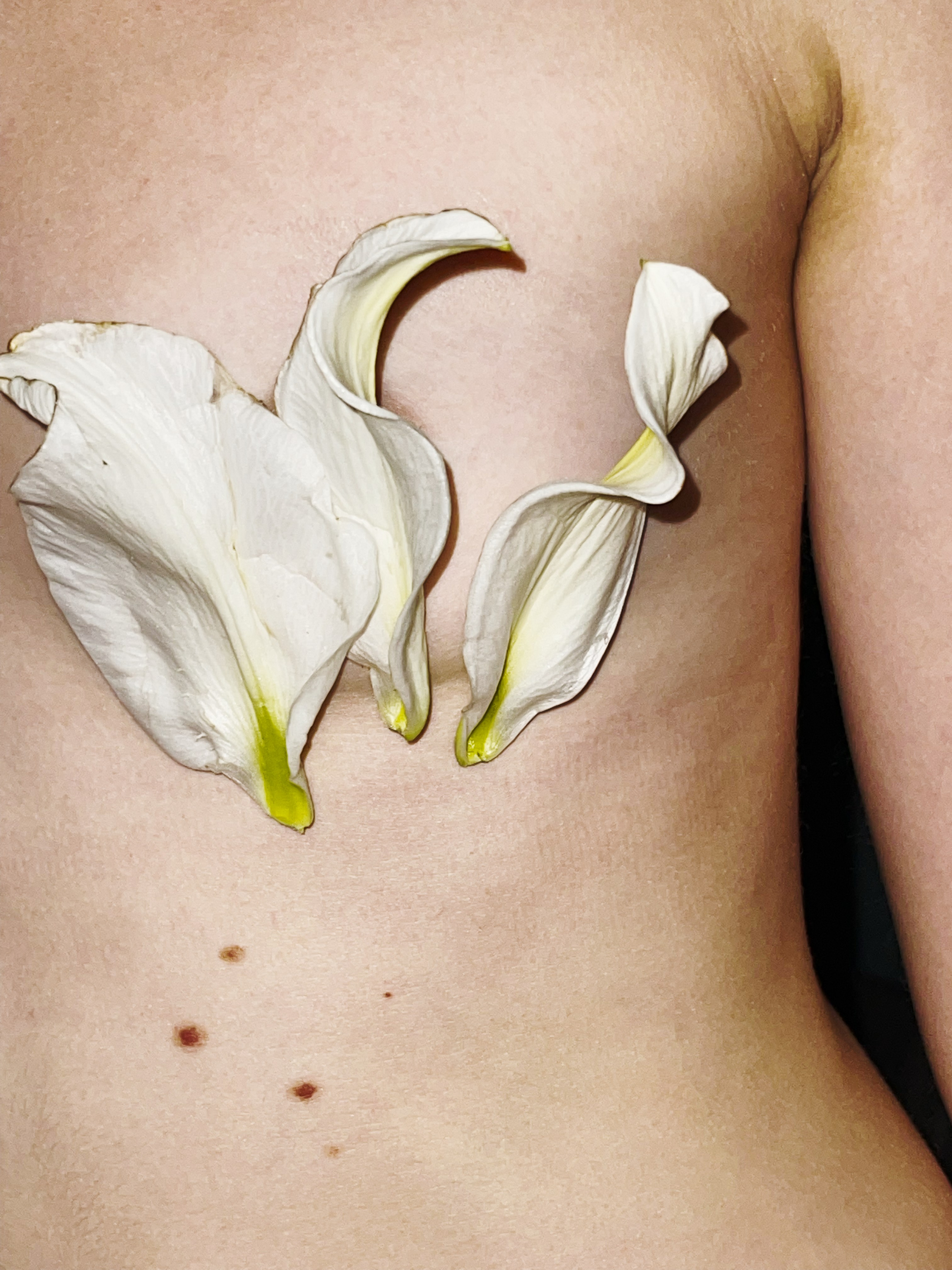 HEYDAY. Daria Blinova