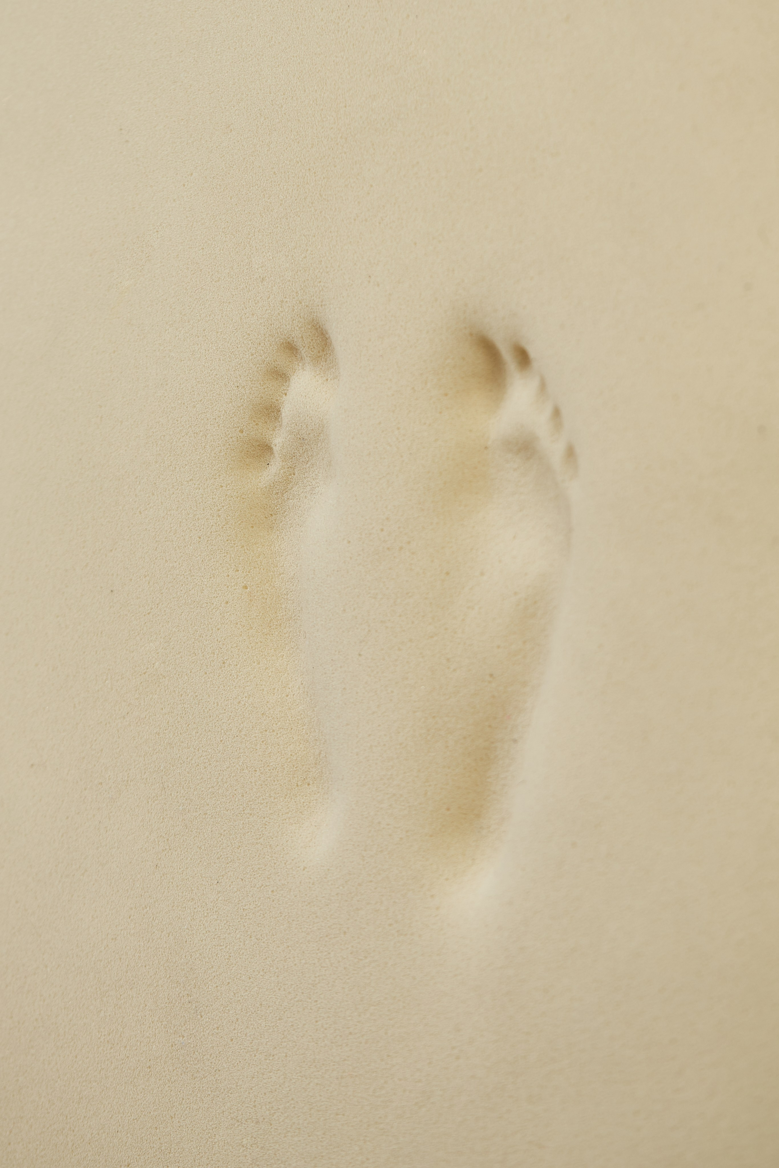 HEYDAY. Daria Blinova