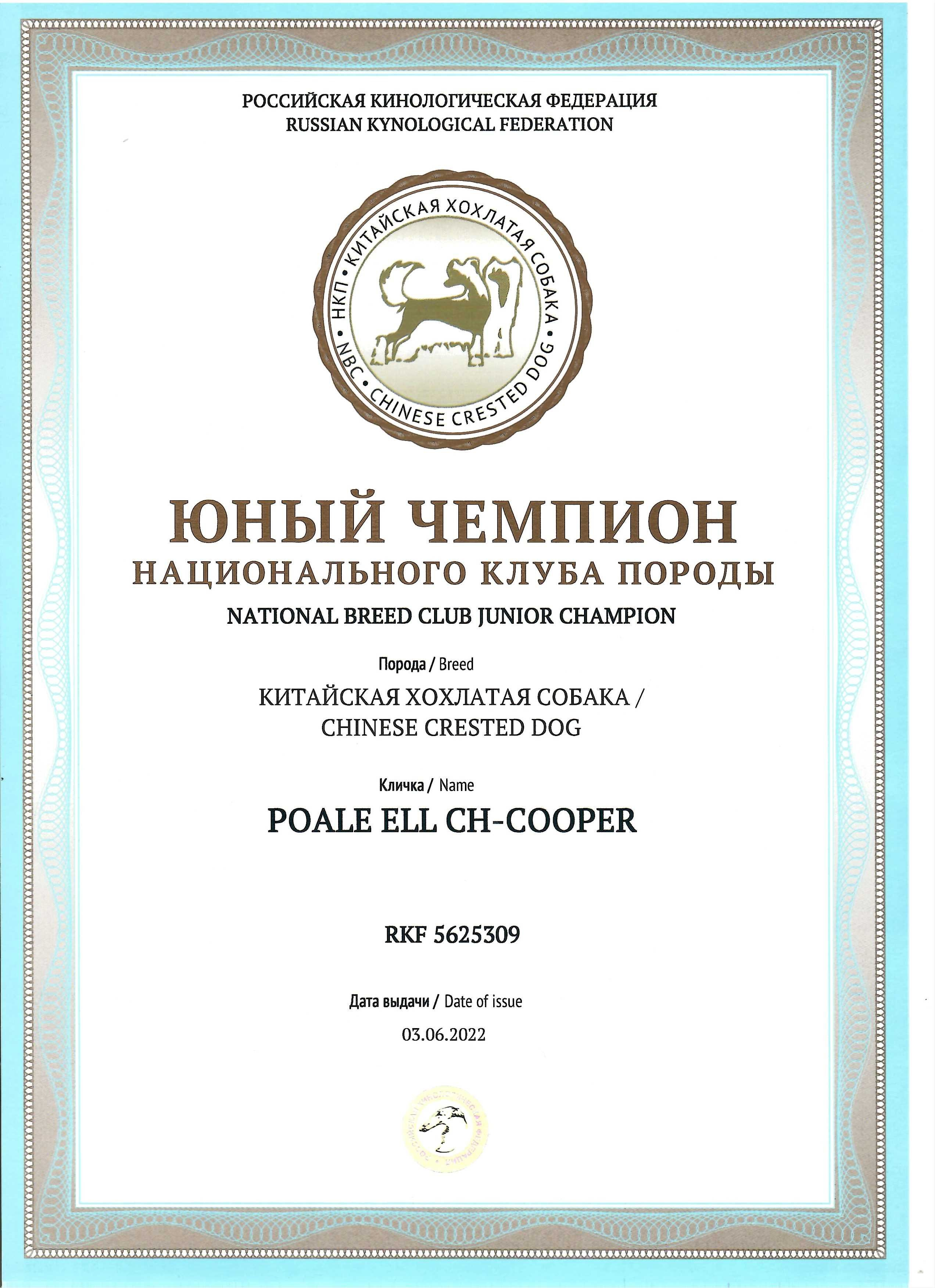 Poale Ell Cooper. Chinese Crested Dog Kennel Poale Ell