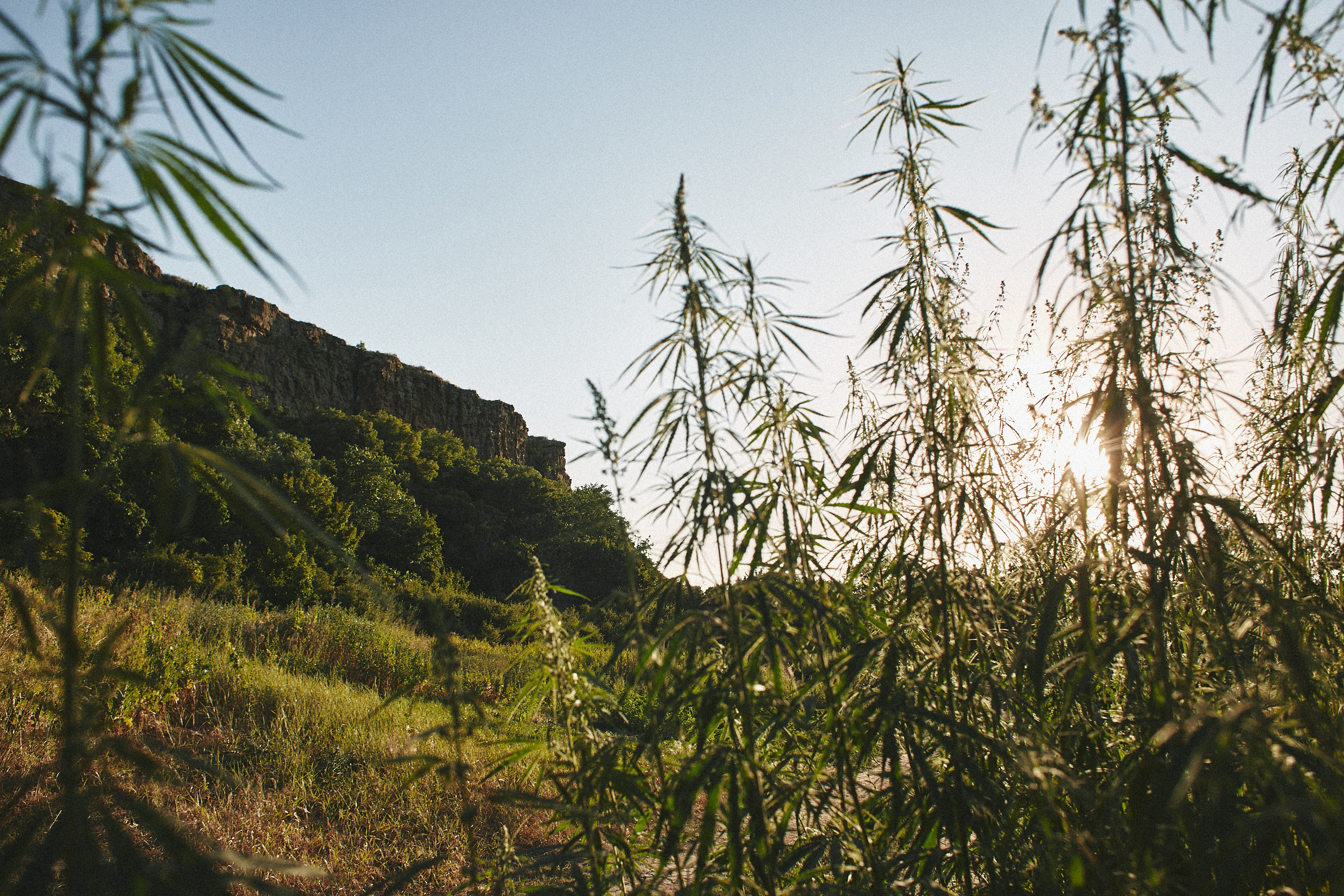 Поездка в Зайцевку. Свадебный и семейный фотограф Владимир Карамышев
