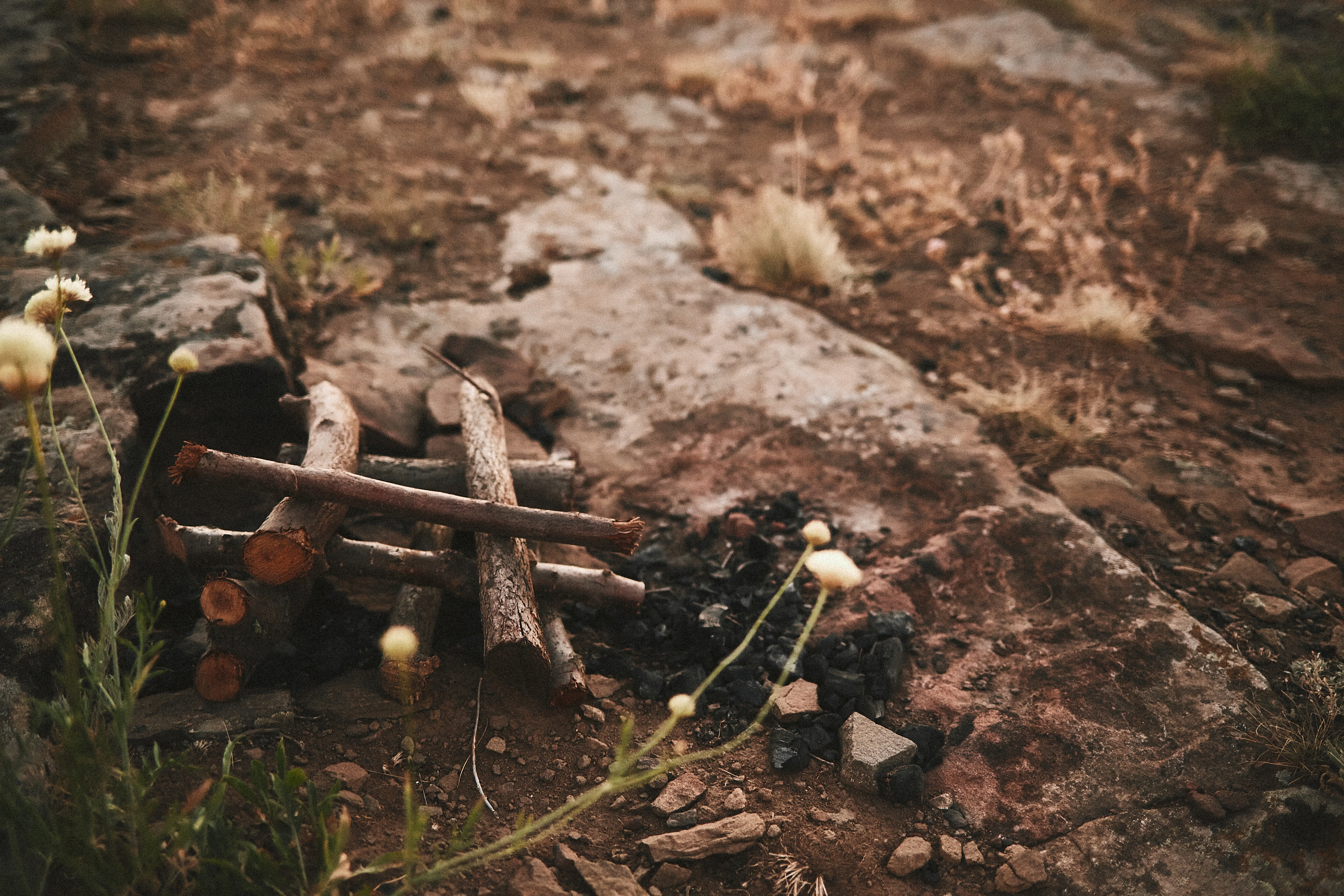 Поездка в Зайцевку. Свадебный и семейный фотограф Владимир Карамышев
