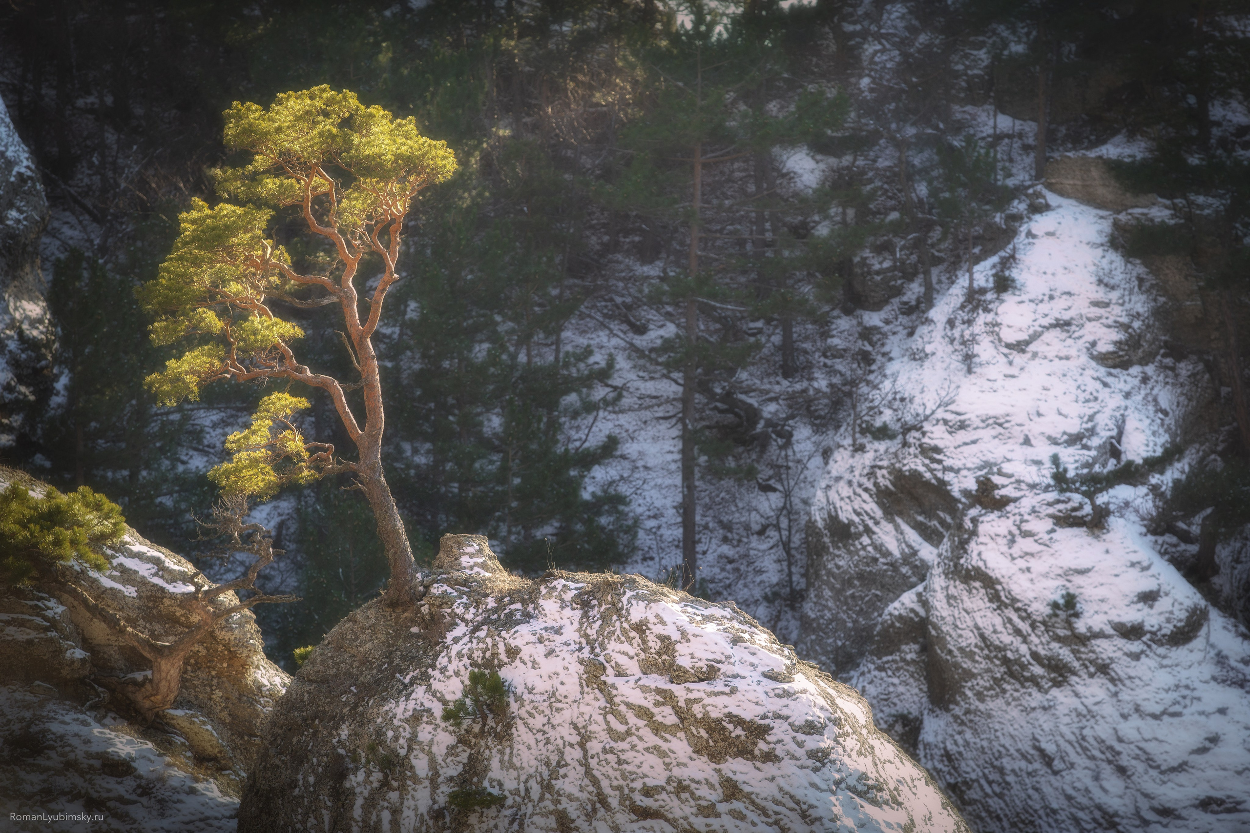 Крым (Индивидуальный). Пейзажный & Timelapse фотограф Роман Любимский