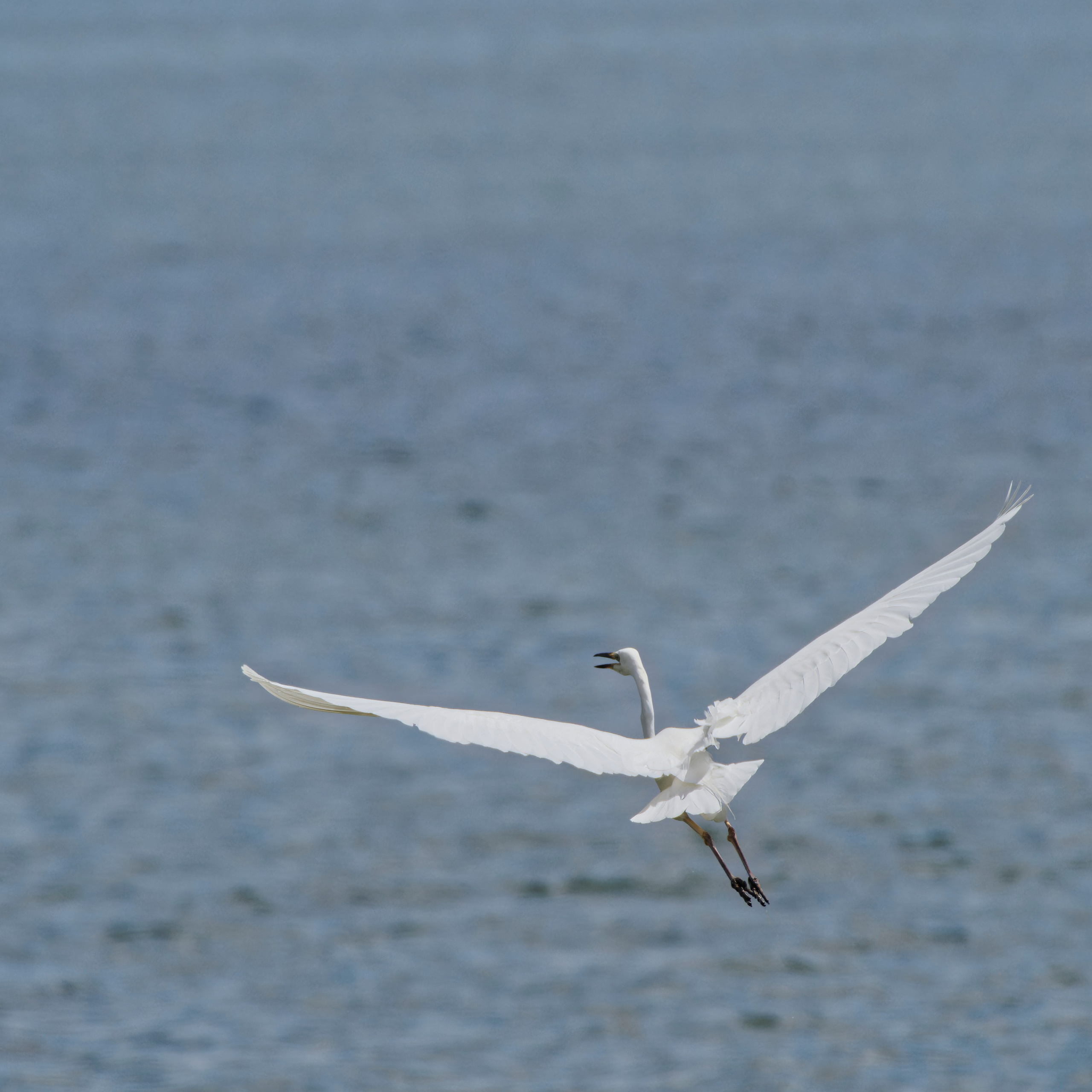 Экспедиция в Монголию (котловина больших озер). Семоха Валерий. Фотограф