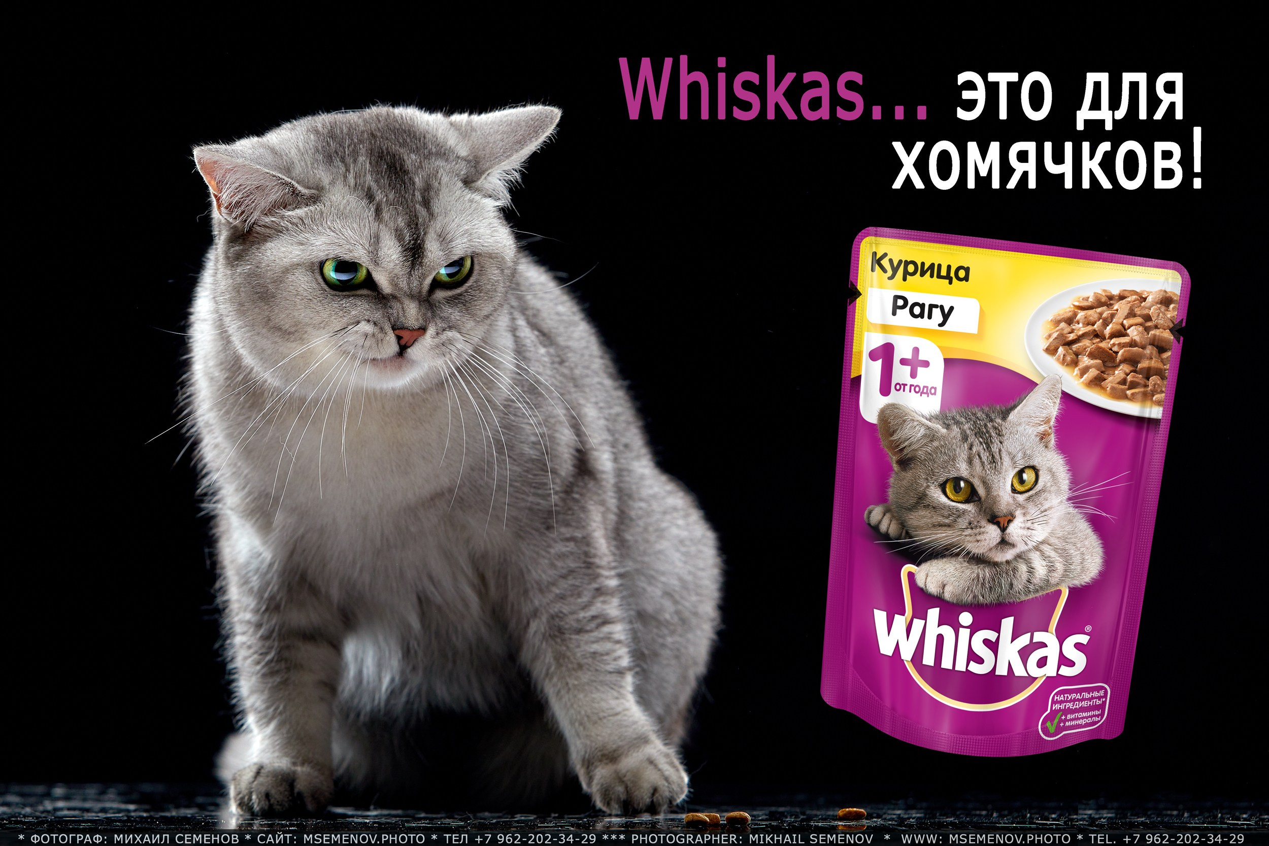 Деловая фотосъемка, предметная, студийный портрет. Рекламная фотосессия. ФОТОуслуги для бизнеса, имиджевая фото-видео съемка. Фотограф, фотопроекты Михаила Семенова в Ярославле. Фотошкола