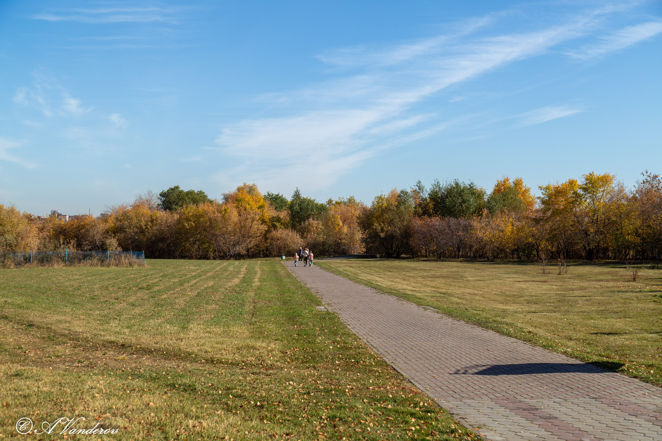 День ходьбы 2024. Фотограф Омск | Александр Вандеров