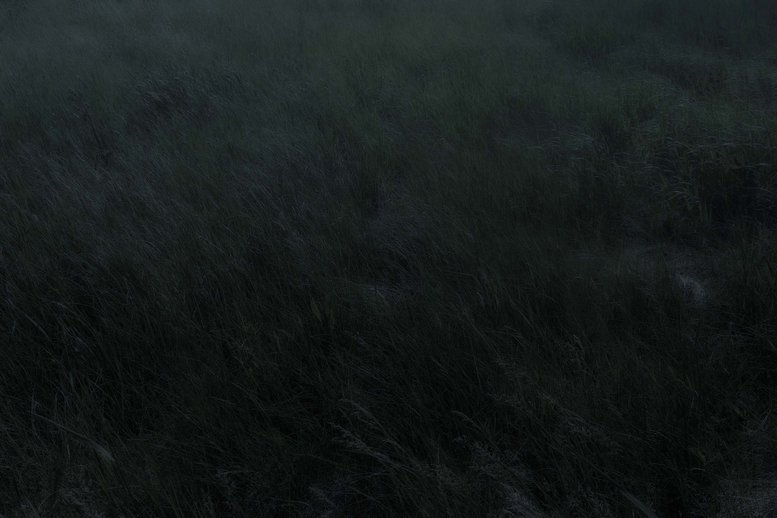 Тропа волн. Julia Altukhova, multimedia artist