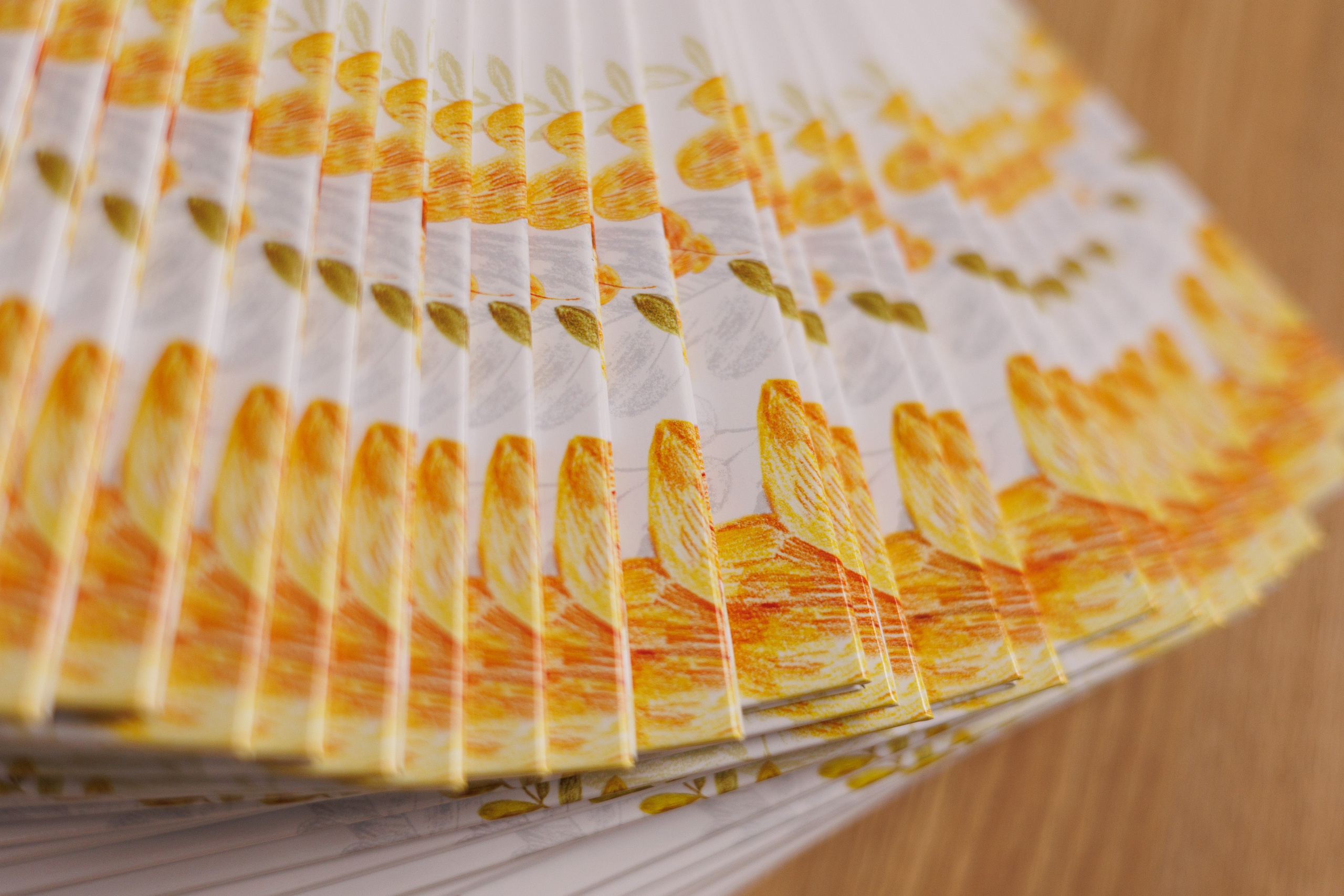 1 разв. для Цен-2. Выпускные альбомы в Луге/Школьные съёмки