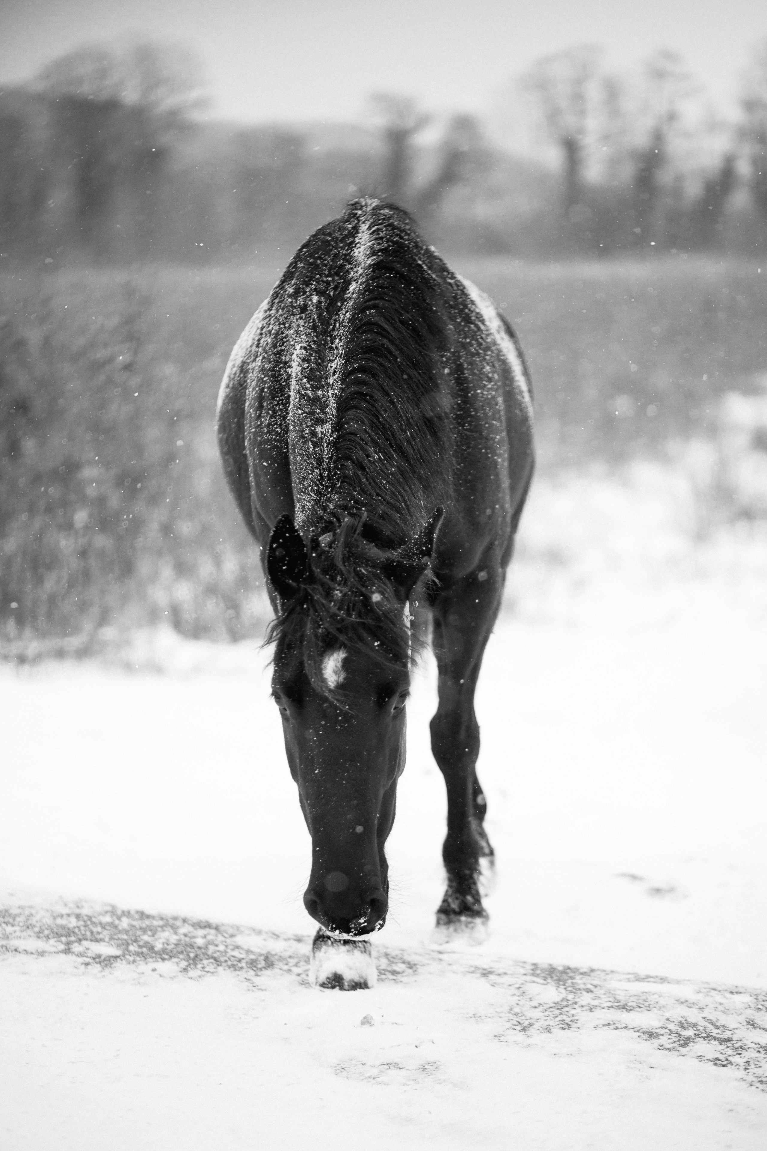 Улицы Люди на улицах Природа Животные — фотограф Оля Волчкова