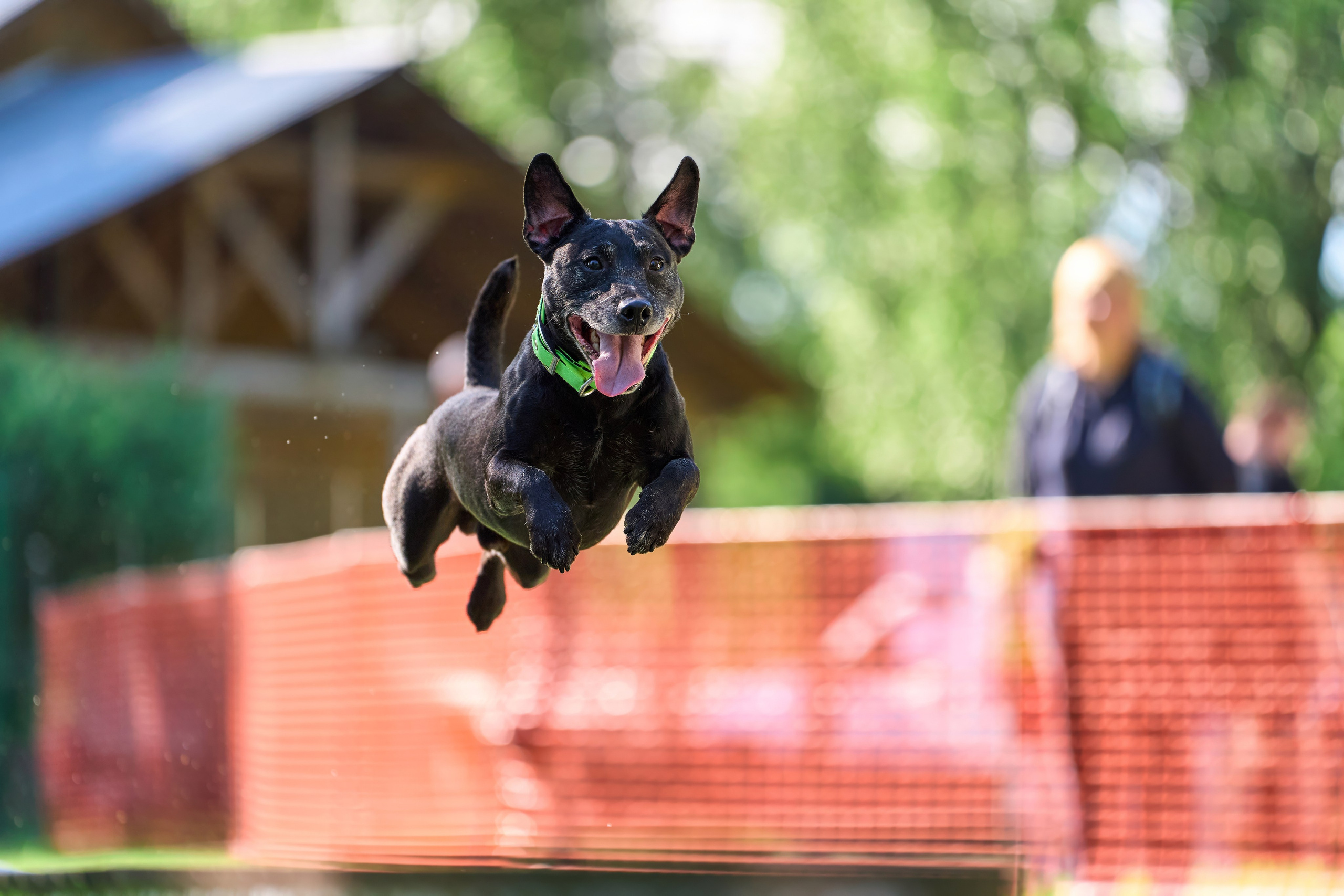 Двухдневные соревнования «Jump'n'Gym Fest — 2024». Фотограф-анималист Михаил Манухин
