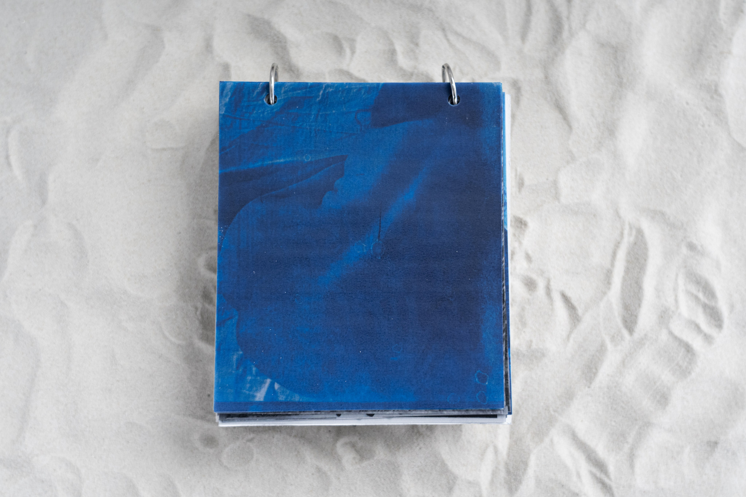 Укрытие. Катрин Эдельвак