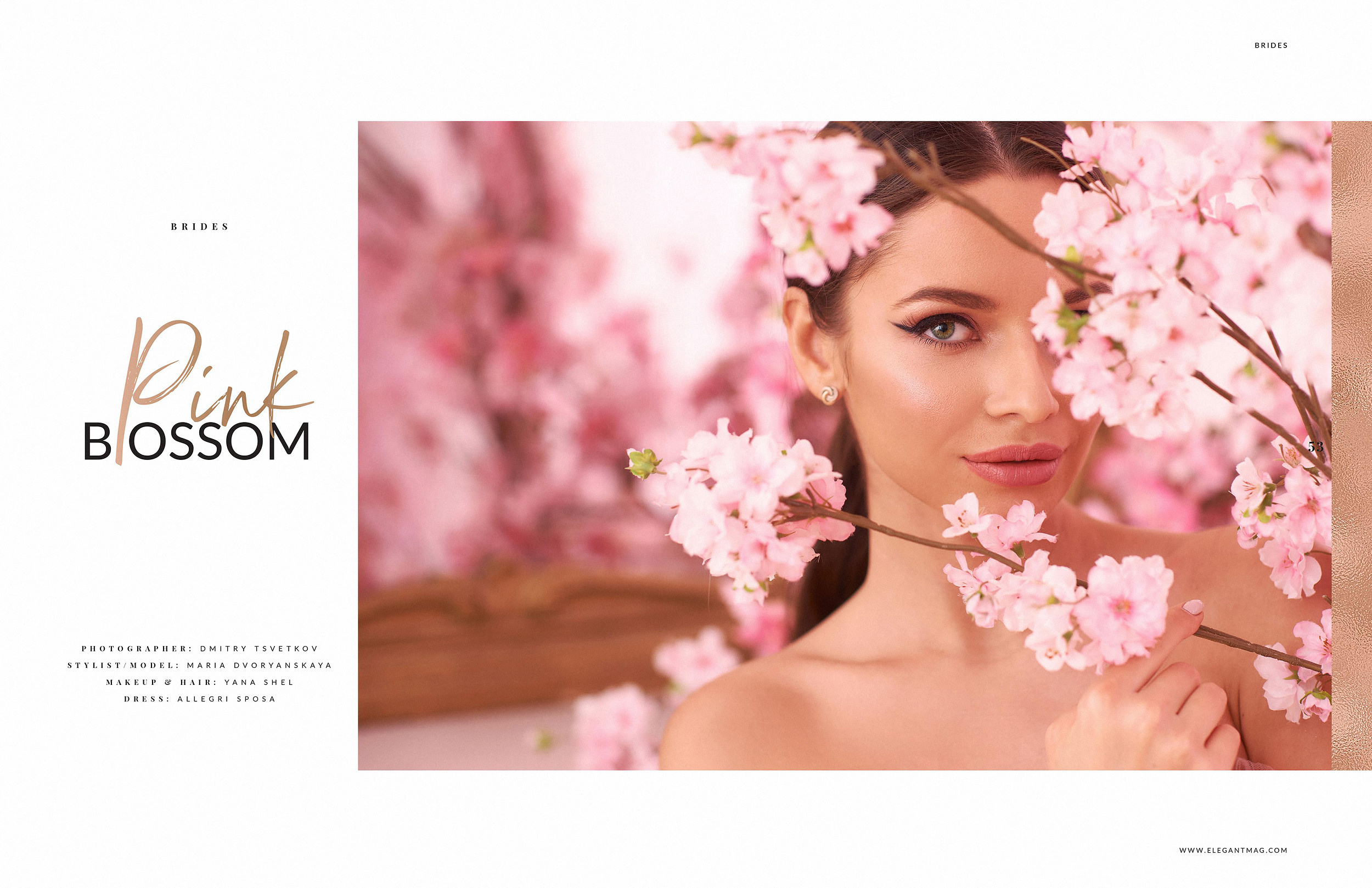 Журналы. Фотограф Дмитрий Цветков | Санкт-Петербург