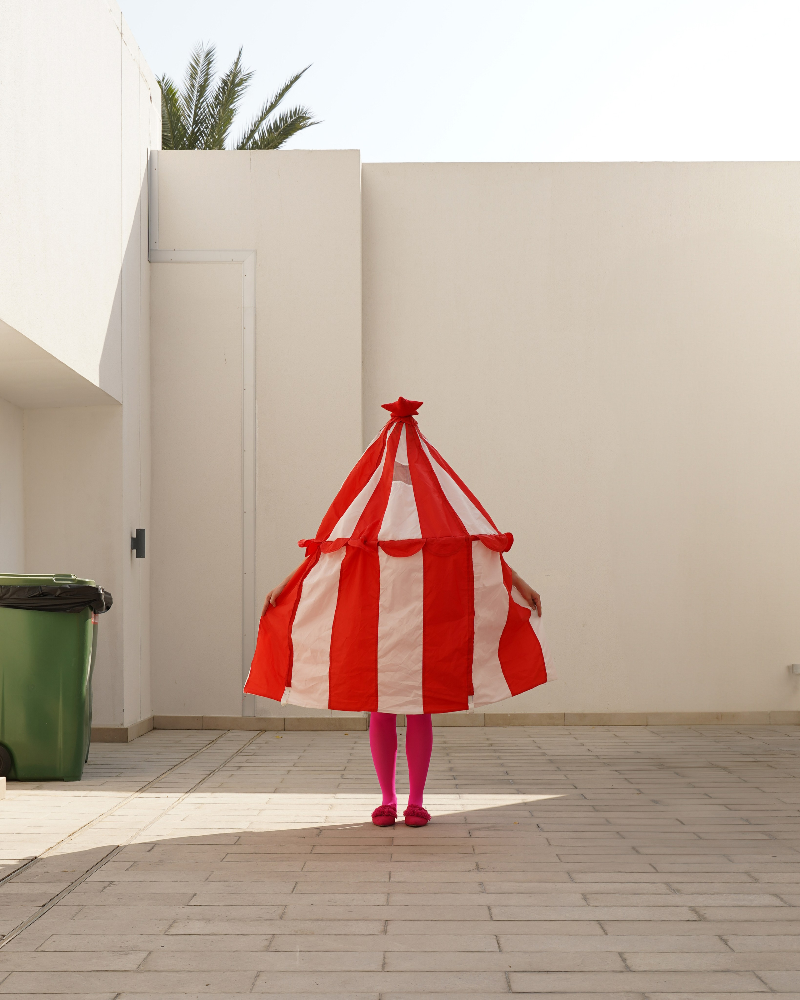 Christmas trees. Katyavasileva