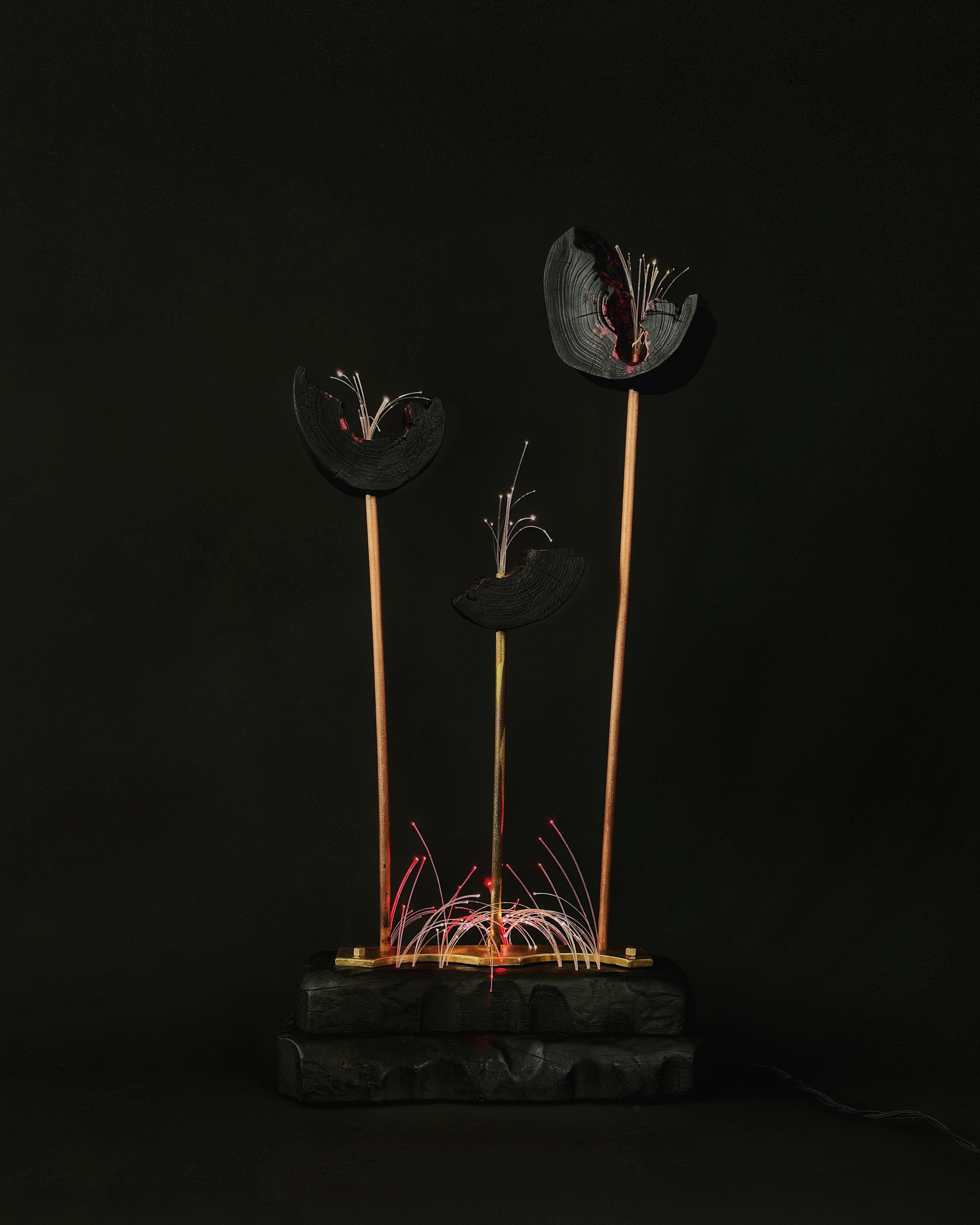 «Цветут Цветы». Арт-объекты. Коллекционный дизайн 47.XII