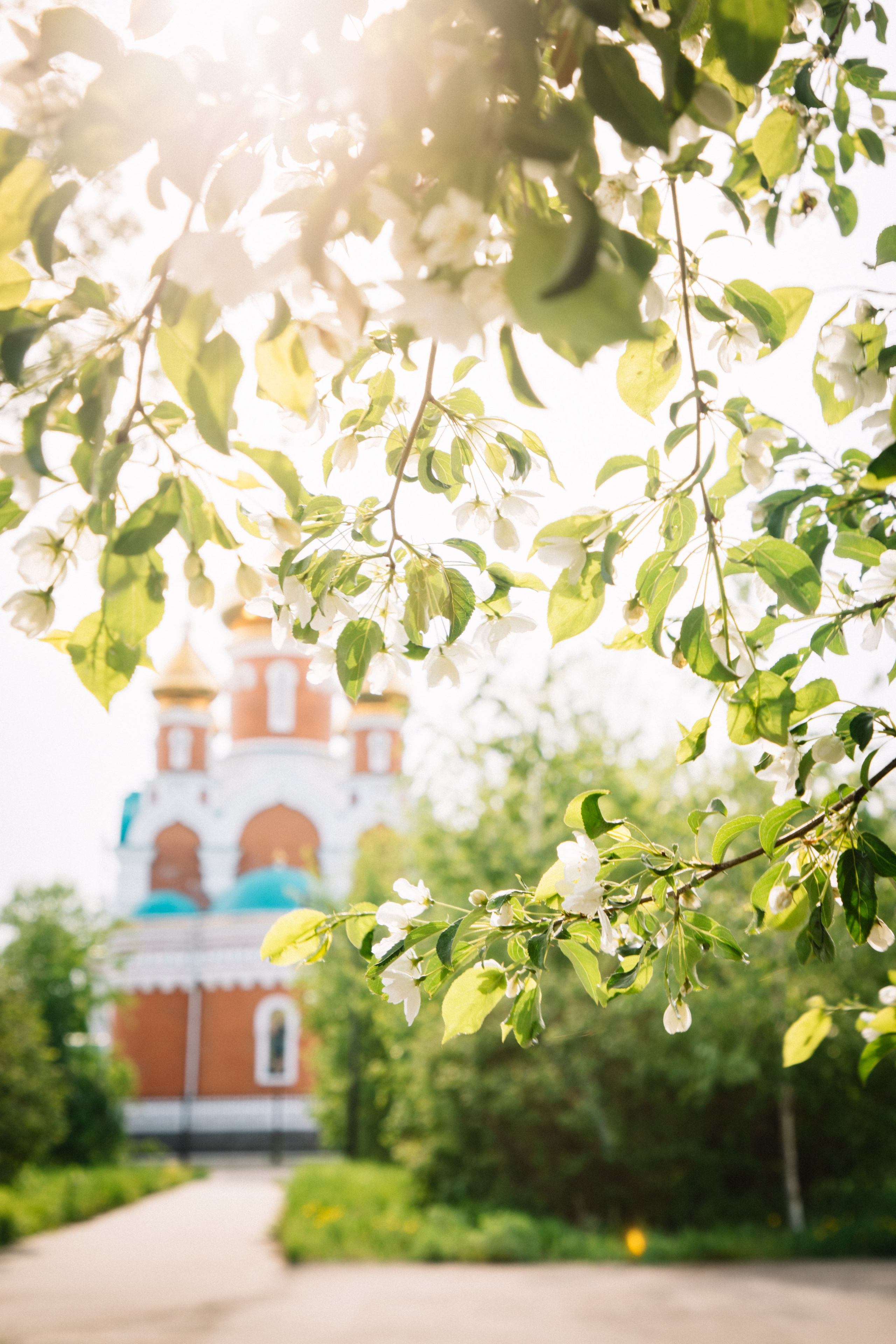 Семейный, репортажный, десткий фотограф Комсомольск-на-Амуре
