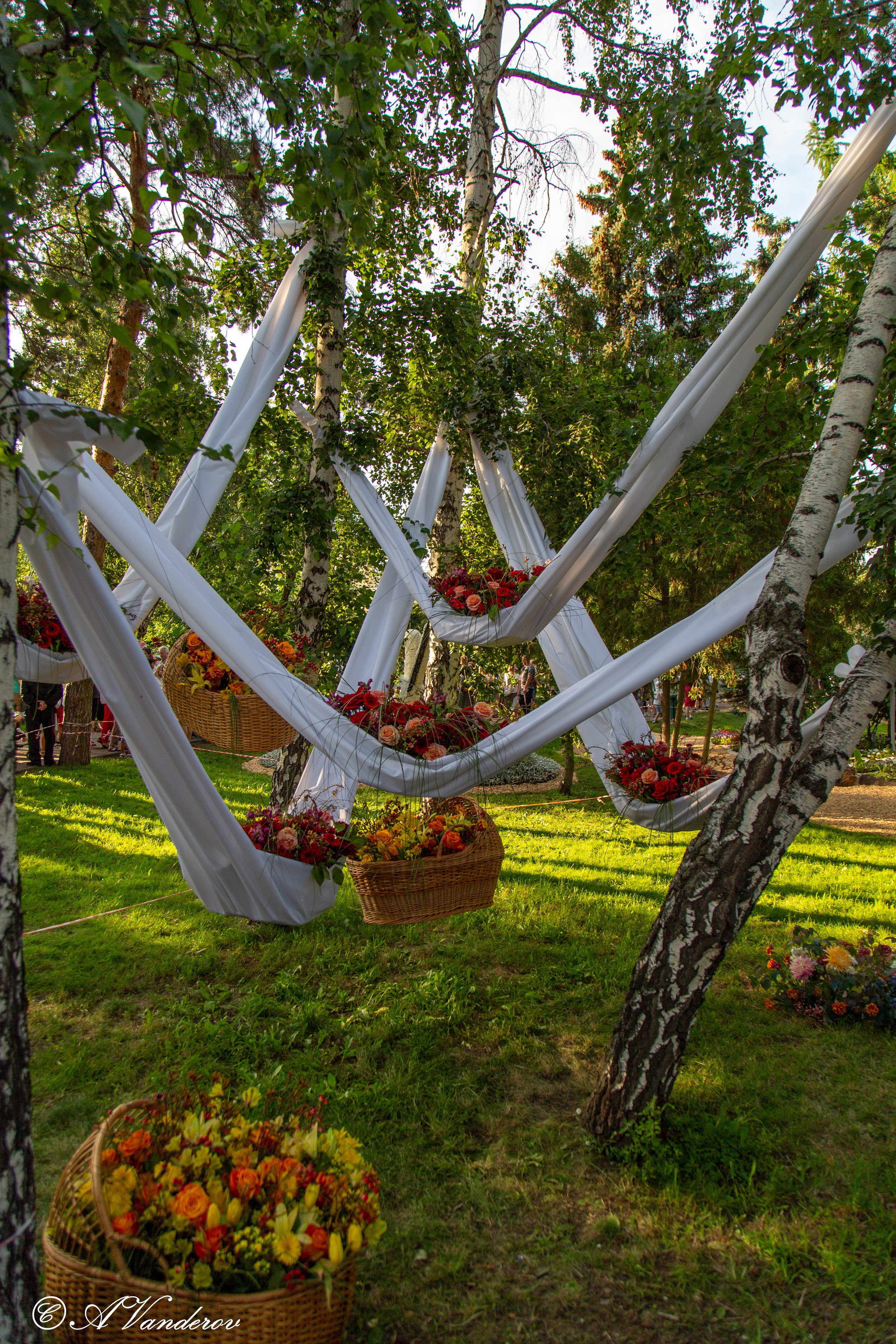 День города 03.08.2024. Фотограф Омск | Александр Вандеров