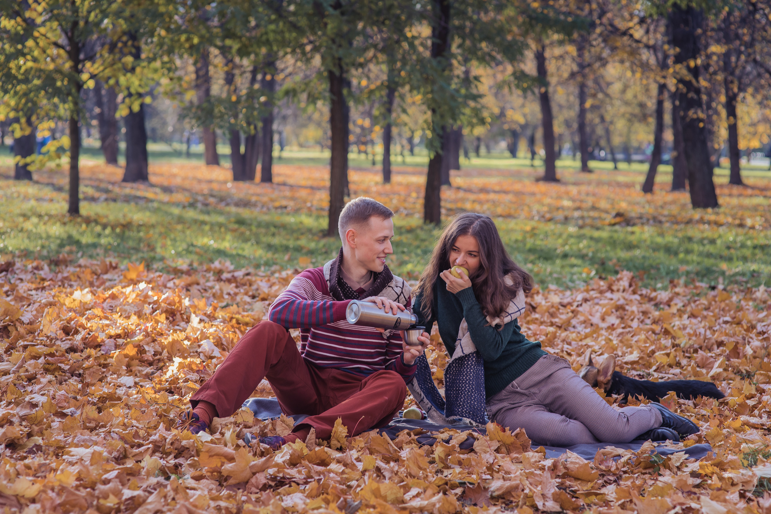 Фотосессия с собакой корги. Семейный фотограф в Москве Наталья Чуб, заказать Фотокнигу