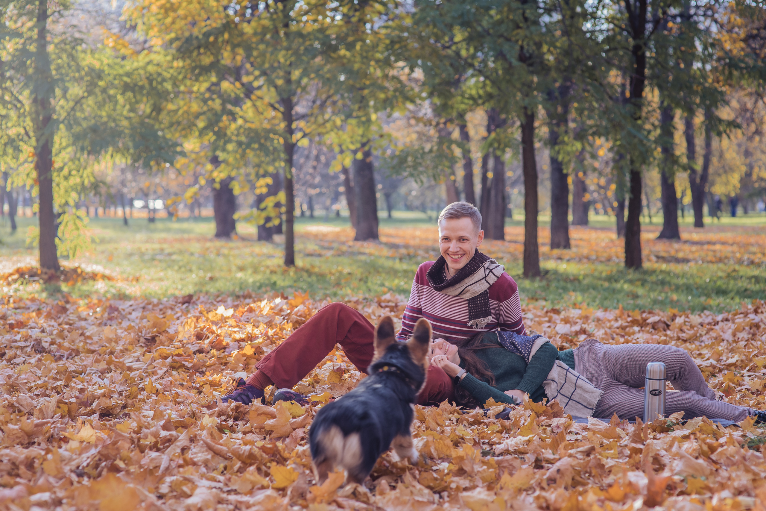 Фотосессия с собакой корги. Семейный фотограф в Москве Наталья Чуб, заказать Фотокнигу