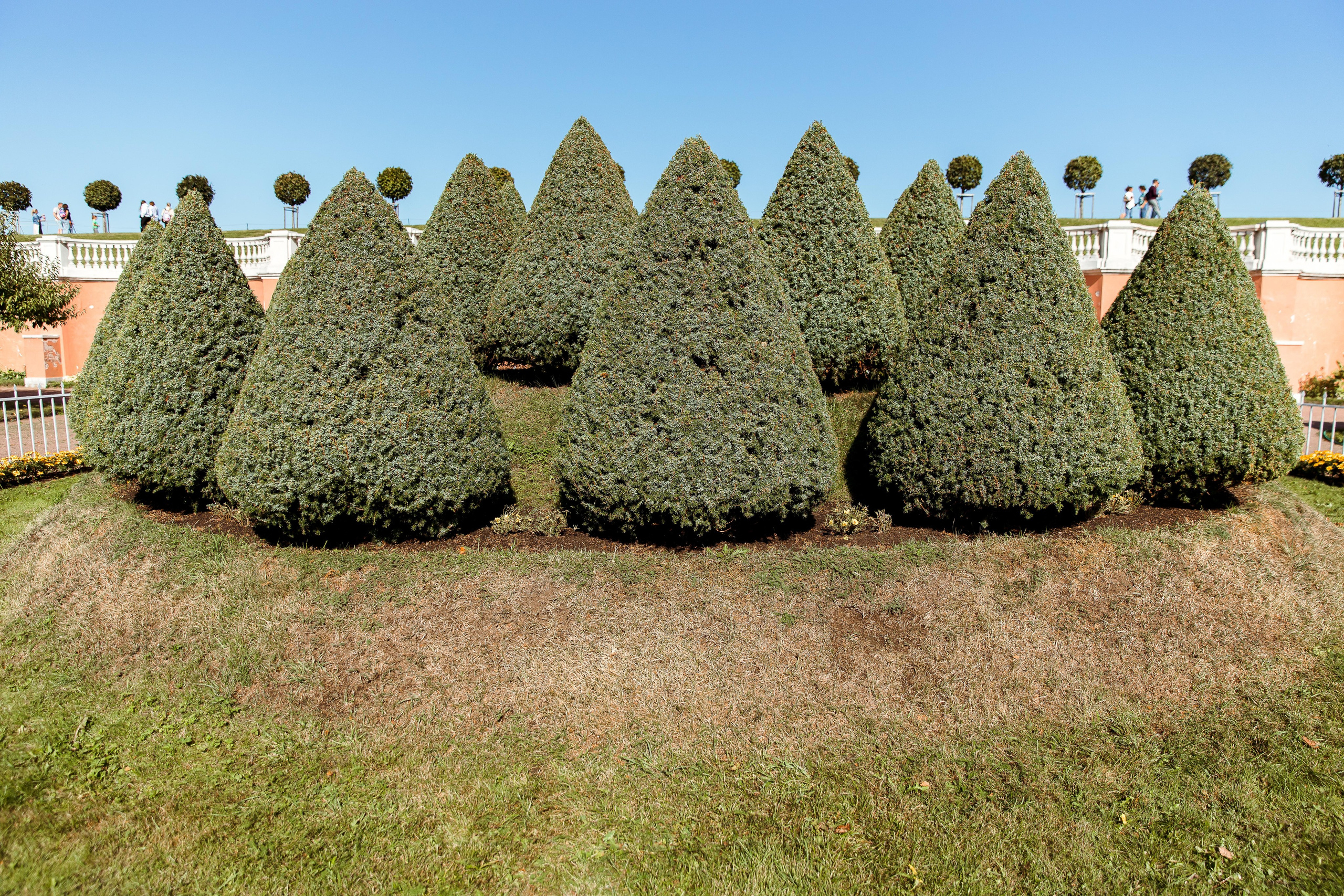 Санкт-Петербург, Питергоф осень 2023. Семейный и детский фотограф в Железногорске Саламахо Ольга