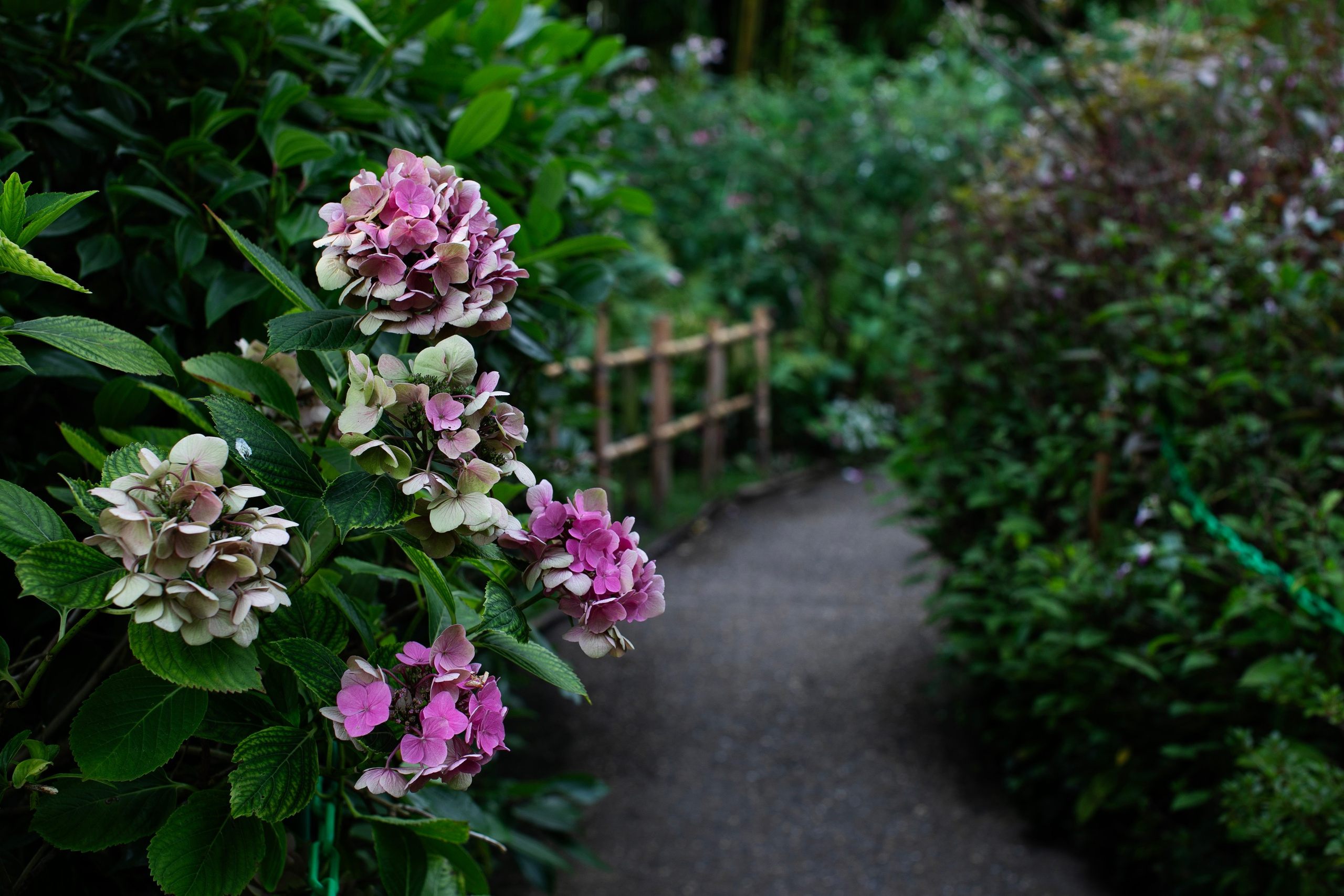 Франция'24: Париж-Жеверни-Руан-Этрета-Онфлер. Фотограф-портретист в Москве