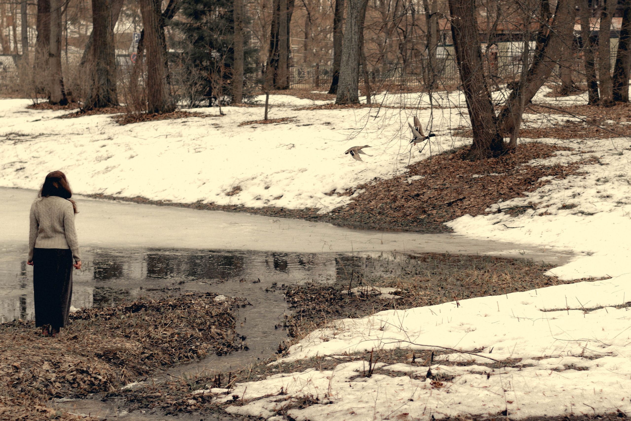 Ранняя весна. Фотосессия для Ольги в Ясной Поляне. Семейный фотограф Щёкино, Тула. От 5000р