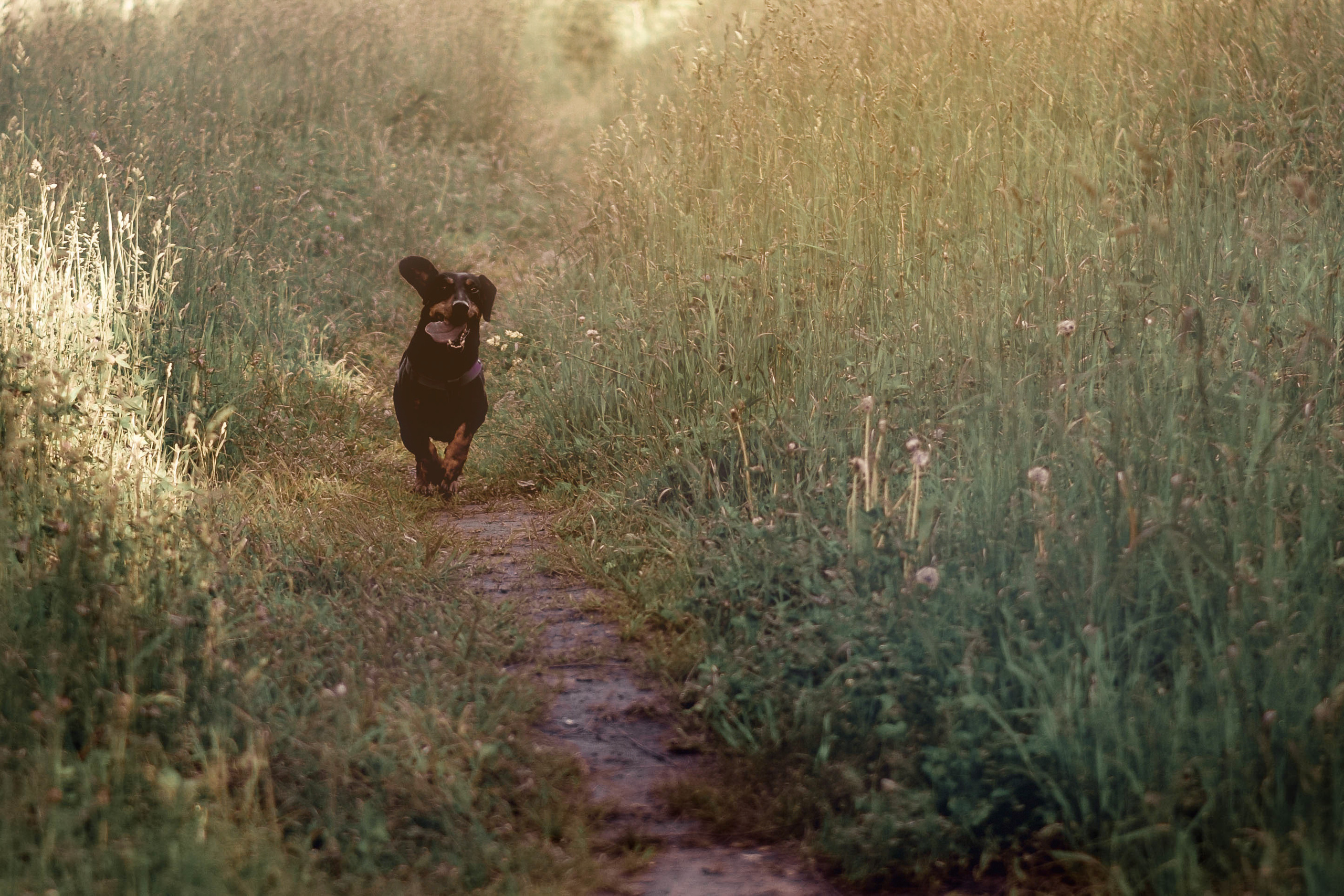 Детская фотосессия Насти и Вани. Семейный фотограф Щёкино, Тула. От 5000р