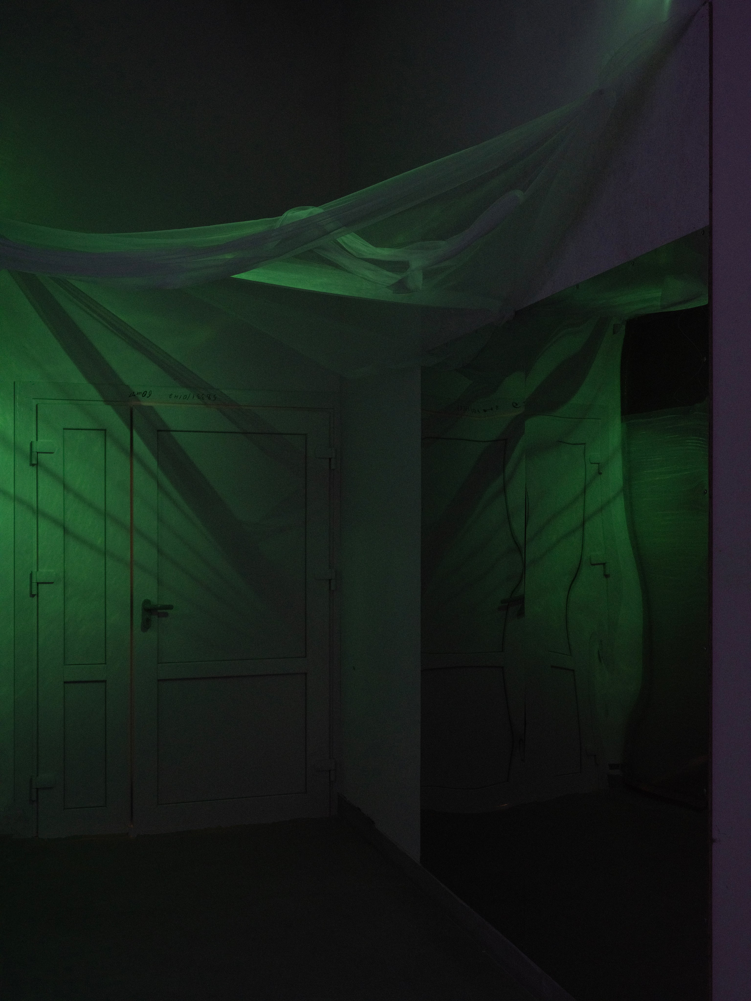 Дивный сад. Елизавета Иванова — независимый куратор, культуролог, исследователь художественных практик, художник