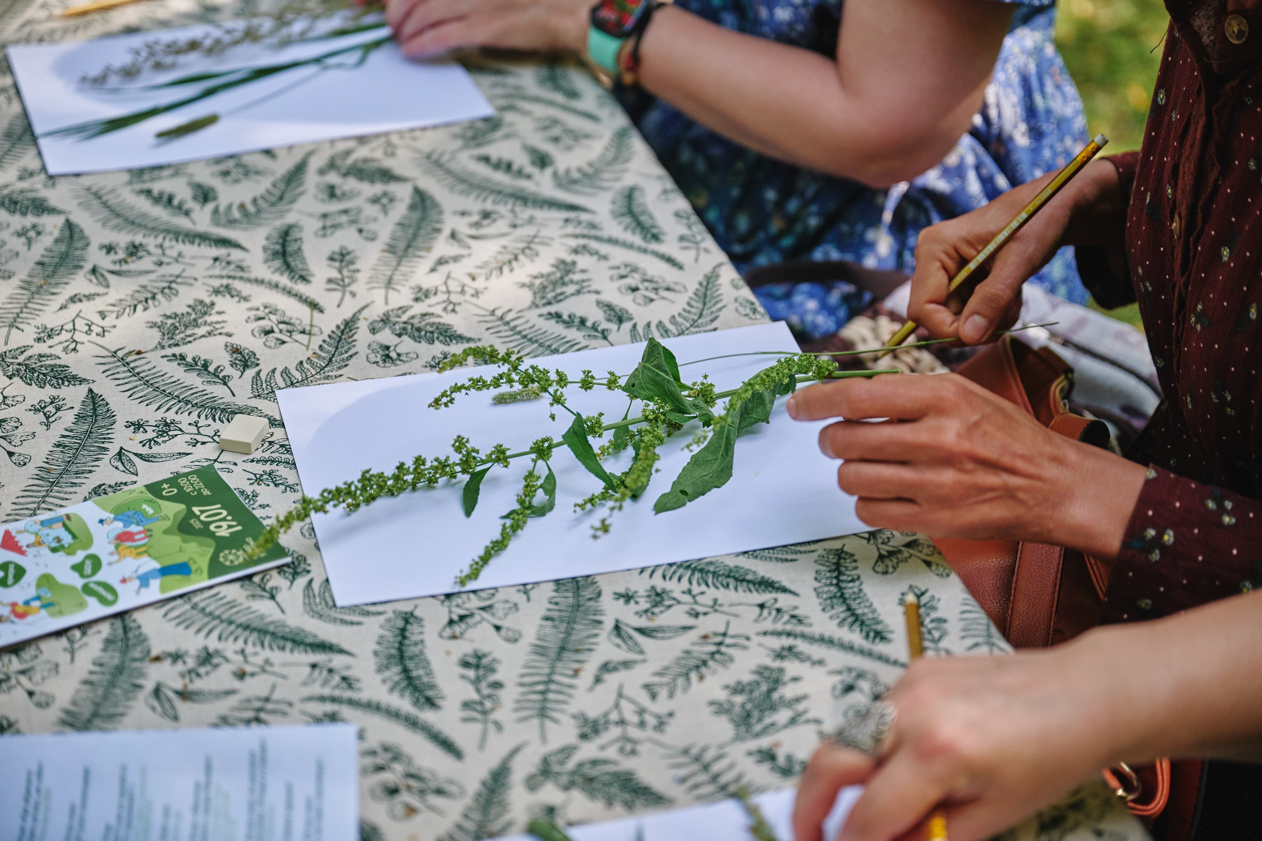 Ива фест 2025. Фотограф в Иваново: Каталожная съемка одежды и постельного белья, Wildberries