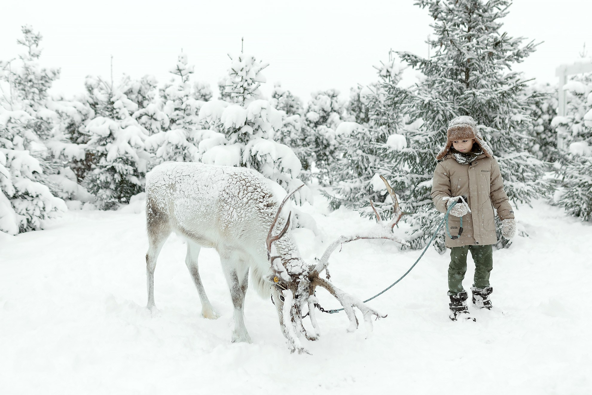 Новогодние истории. Фотограф в Санкт-Петербурге Наталья Макарова