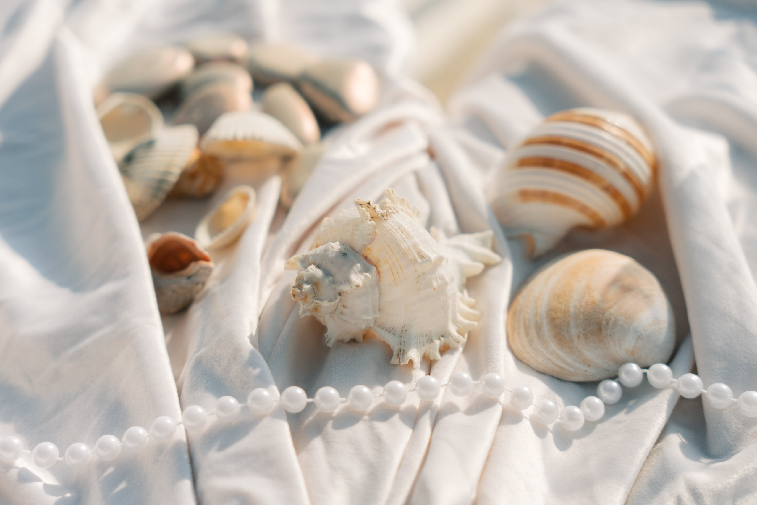 Алексей и Анна