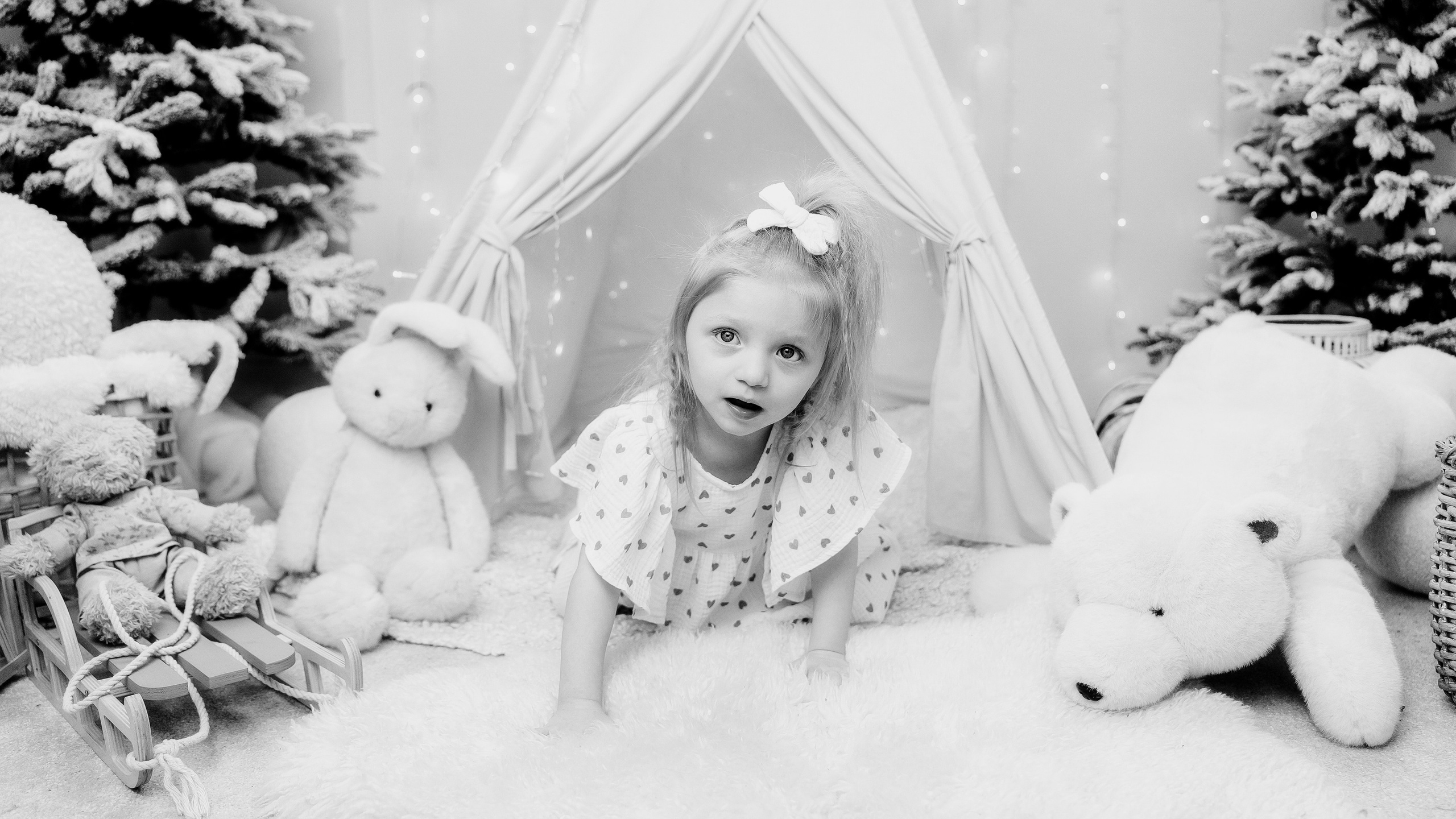 Свадебный и репортажный фотограф в Воронеже Роман Янко