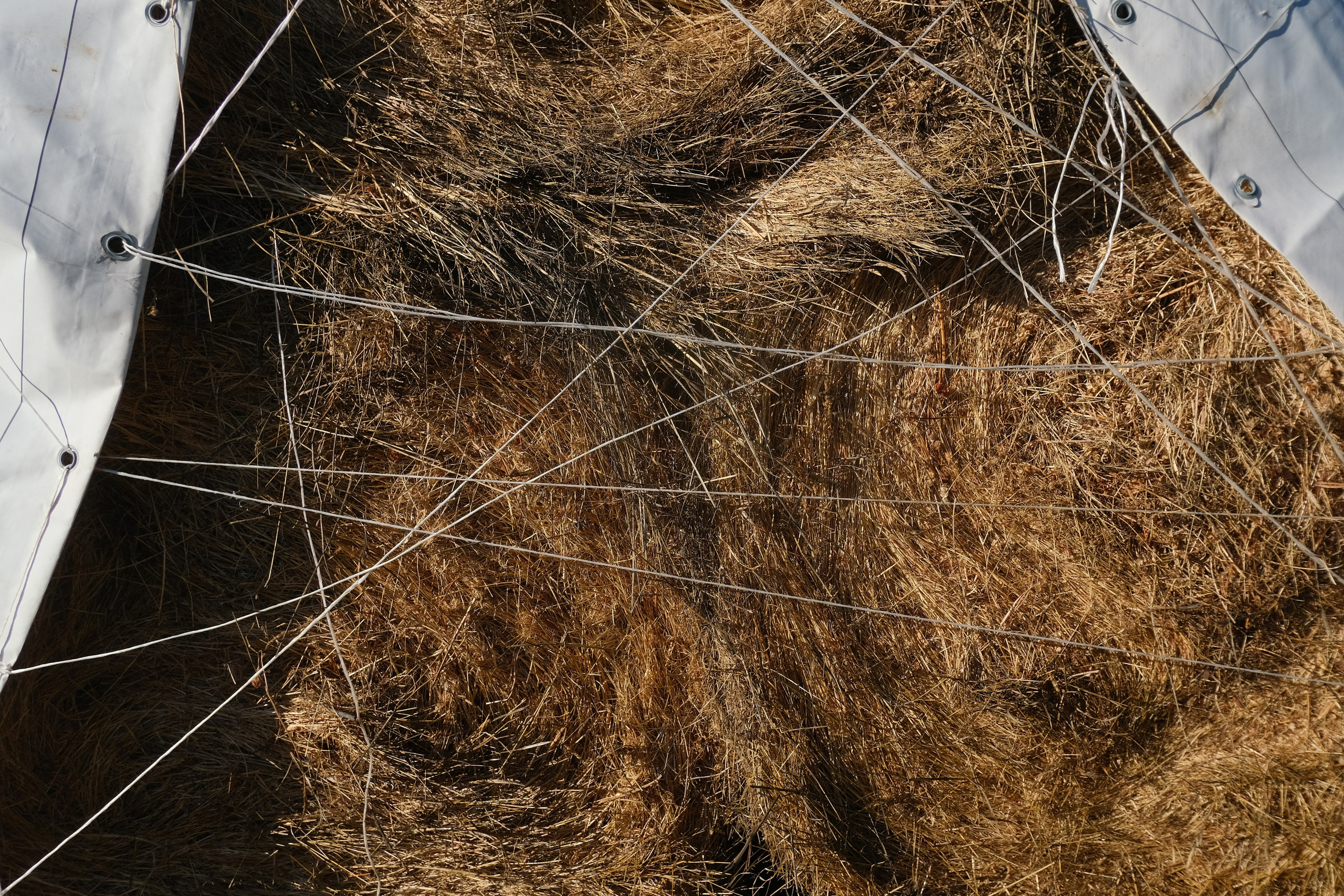 Русский север 27.09.25 — 05.10.25. Фотострелка